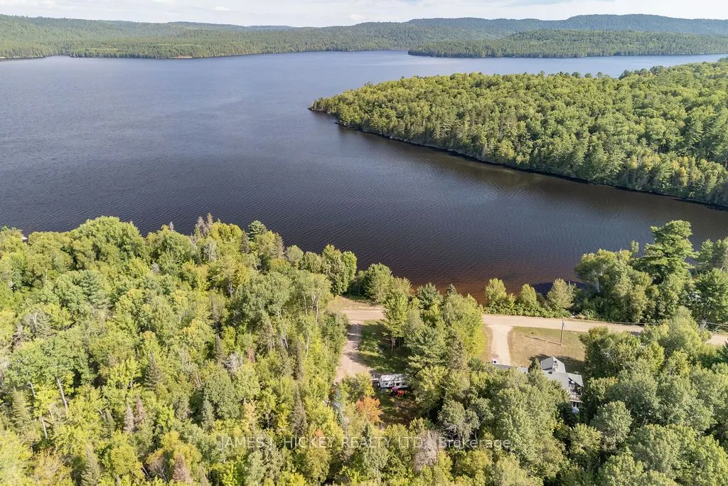 123 Harvey Creek Road