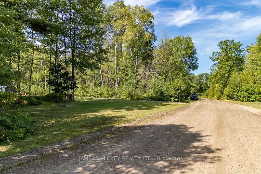 123 Harvey Creek Road