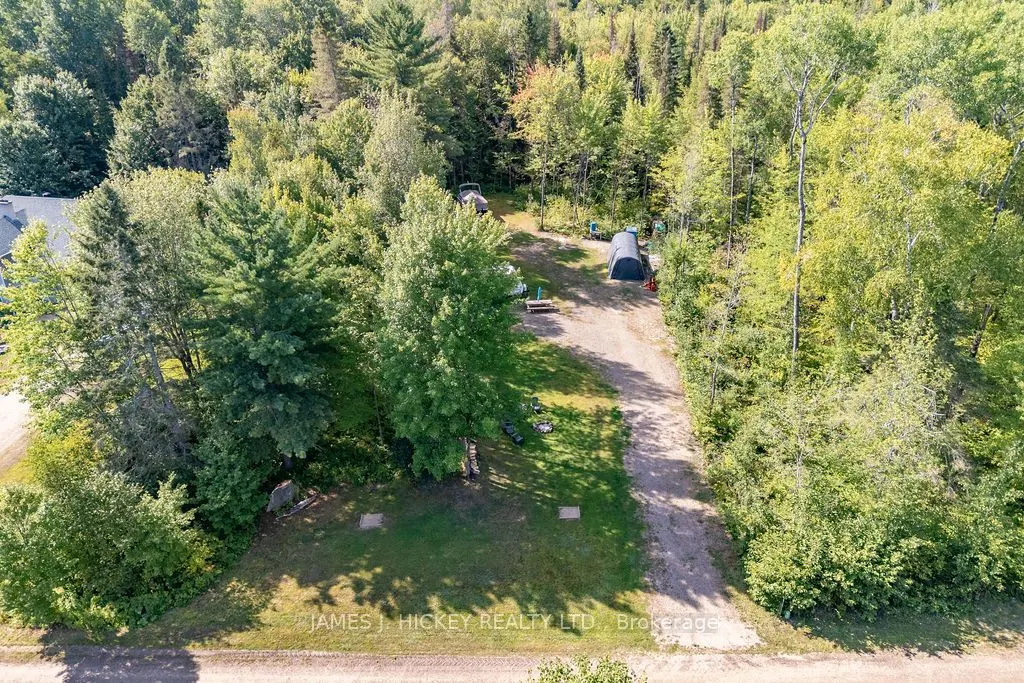 123 Harvey Creek Road