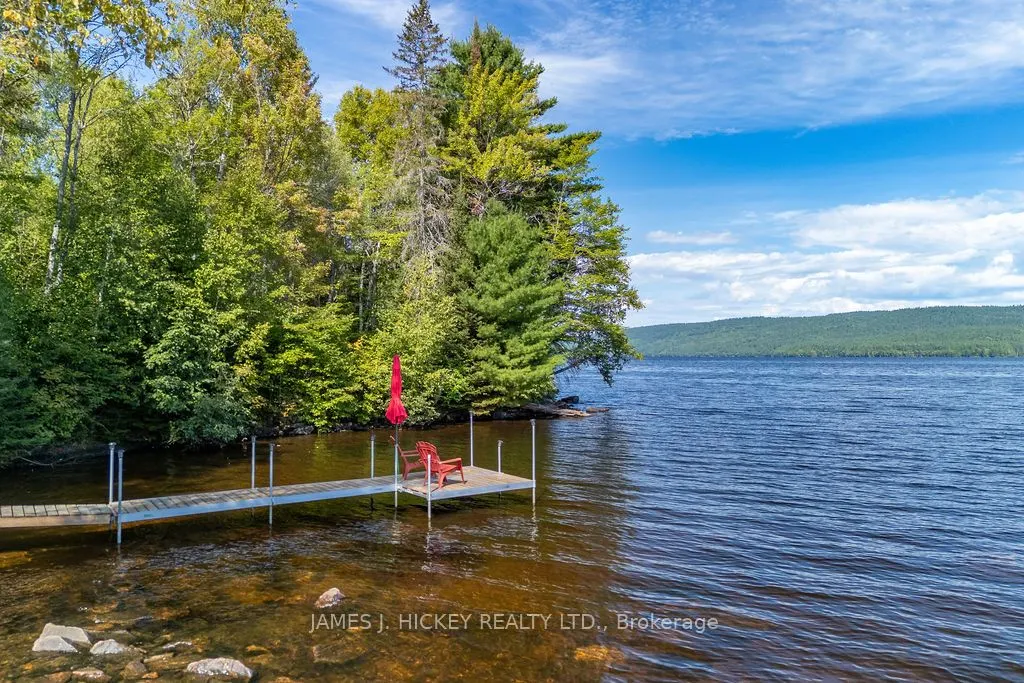 123 Harvey Creek Road