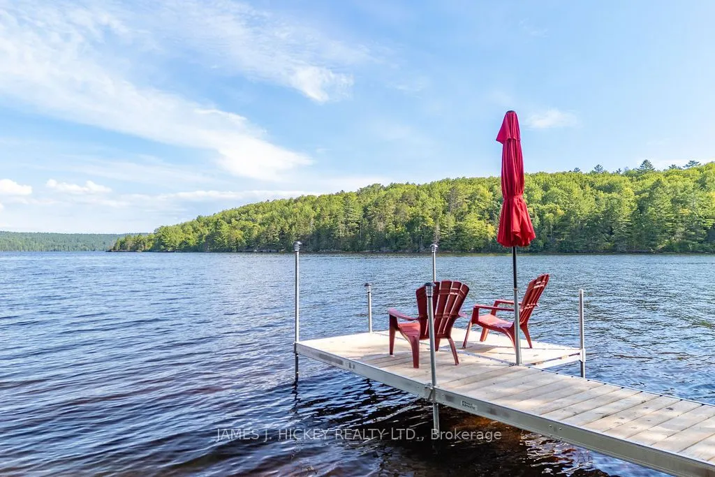 123 Harvey Creek Road