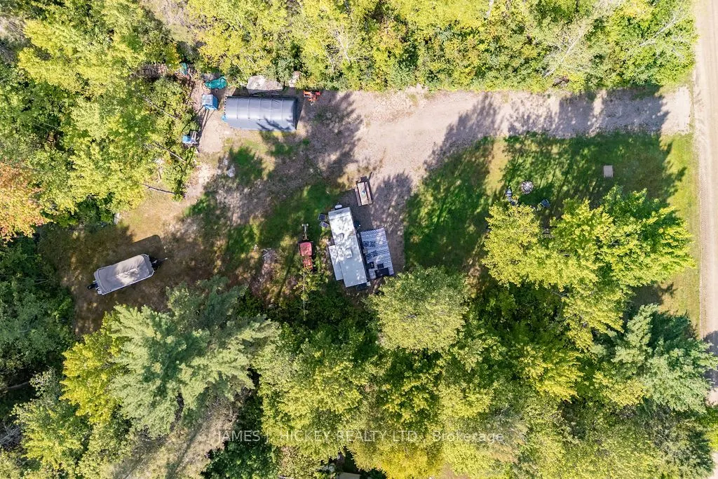 123 Harvey Creek Road