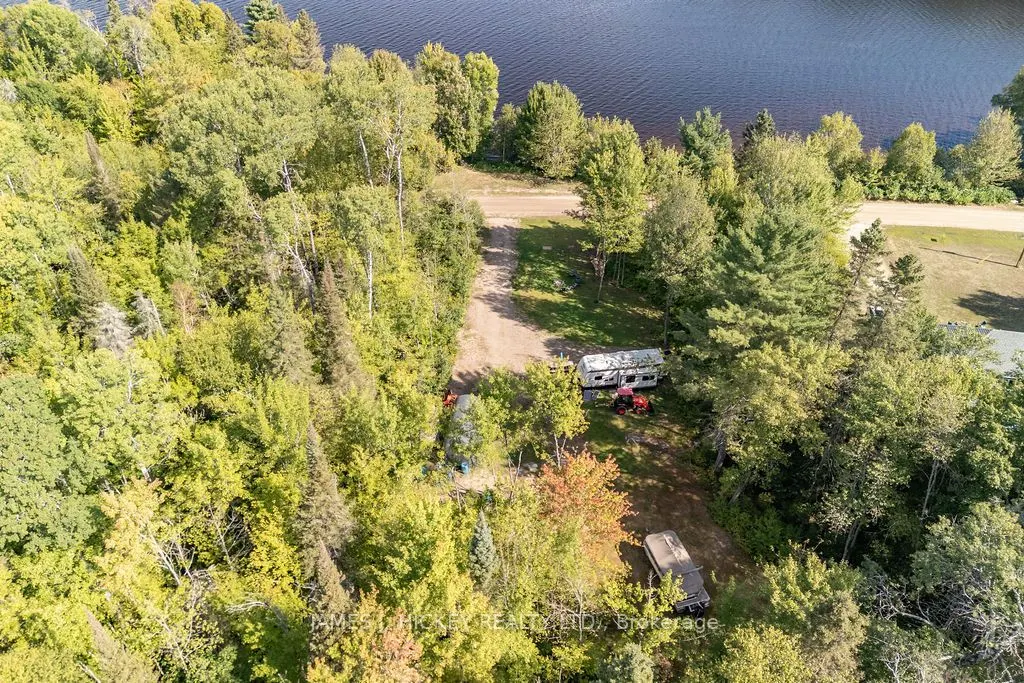 123 Harvey Creek Road