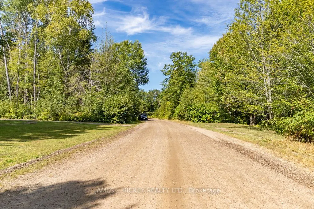 123 Harvey Creek Road