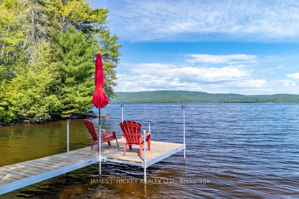 123 Harvey Creek Road