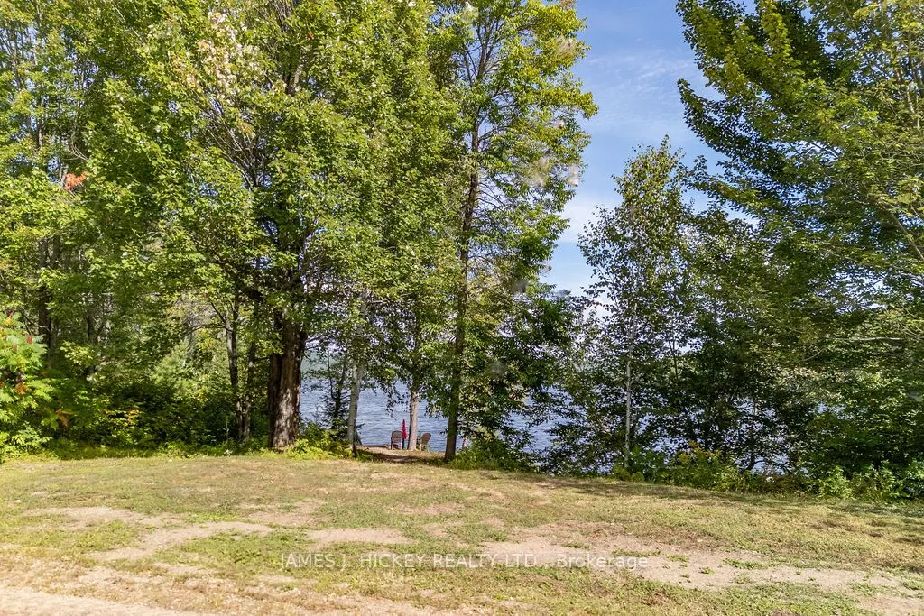 123 Harvey Creek Road