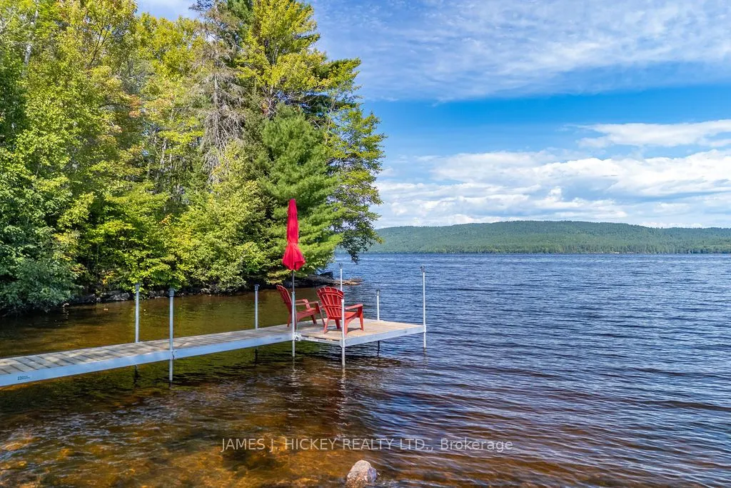 123 Harvey Creek Road
