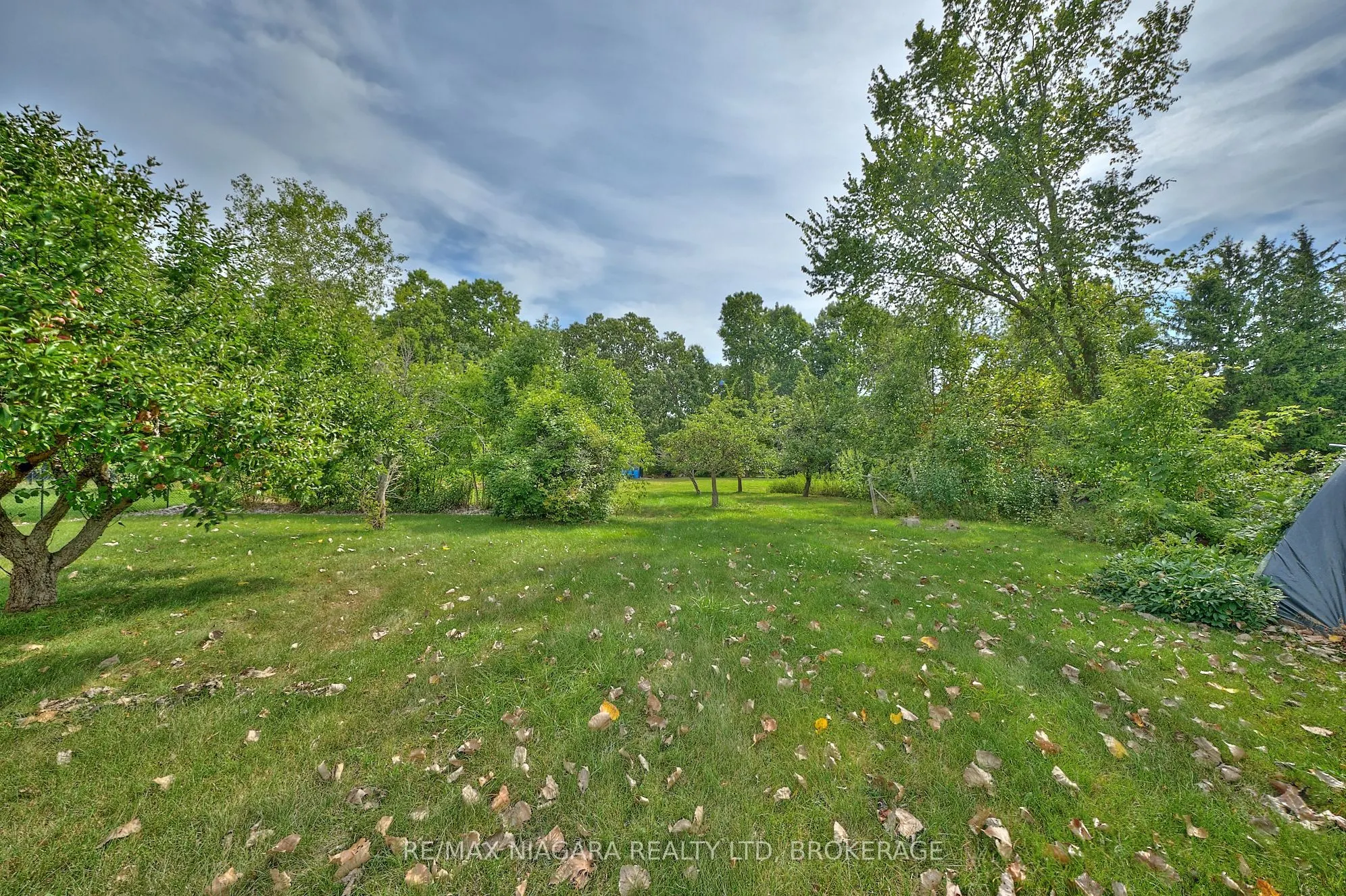 228 Doans Ridge Road