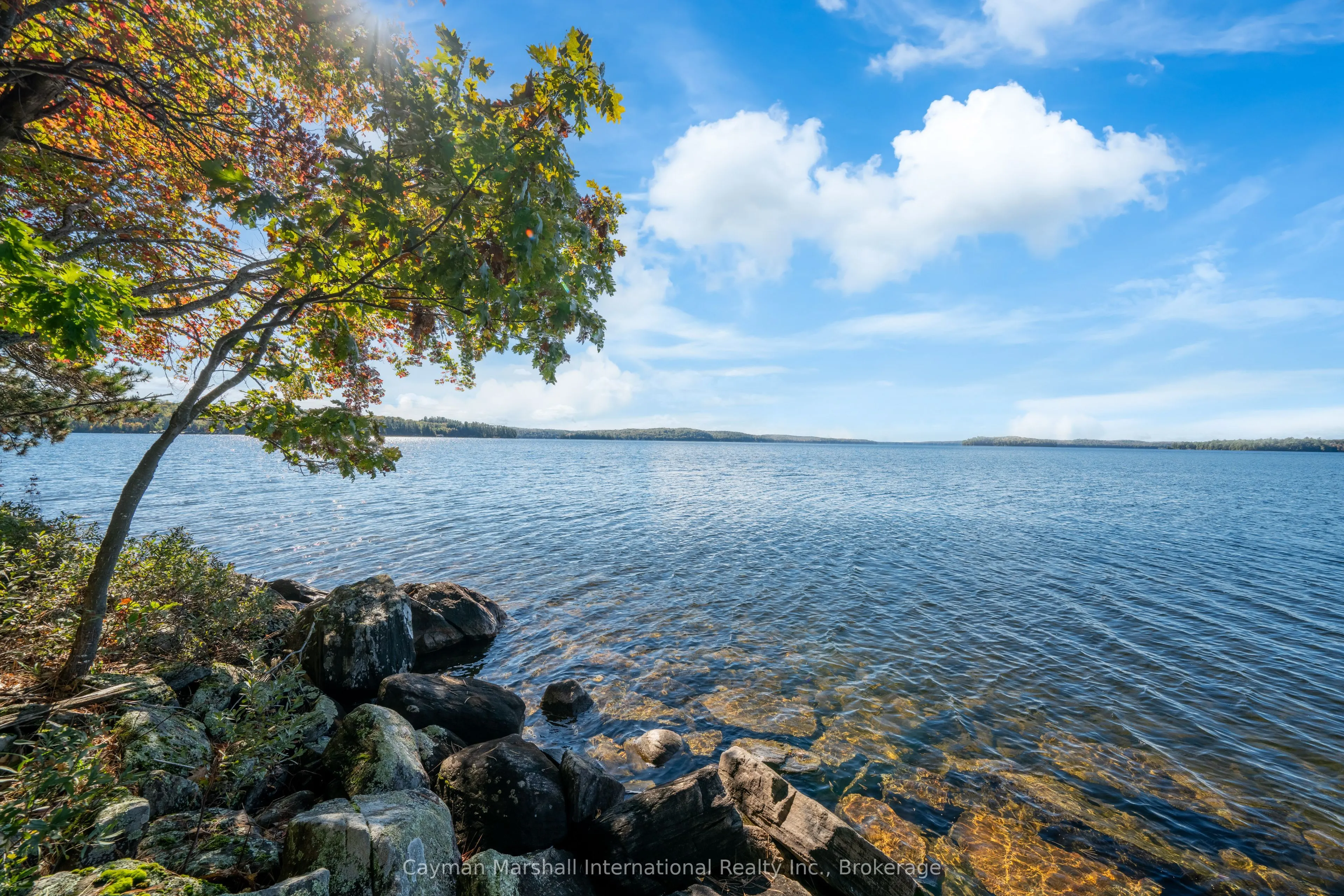 1002 Montgomery Point Road, #2
