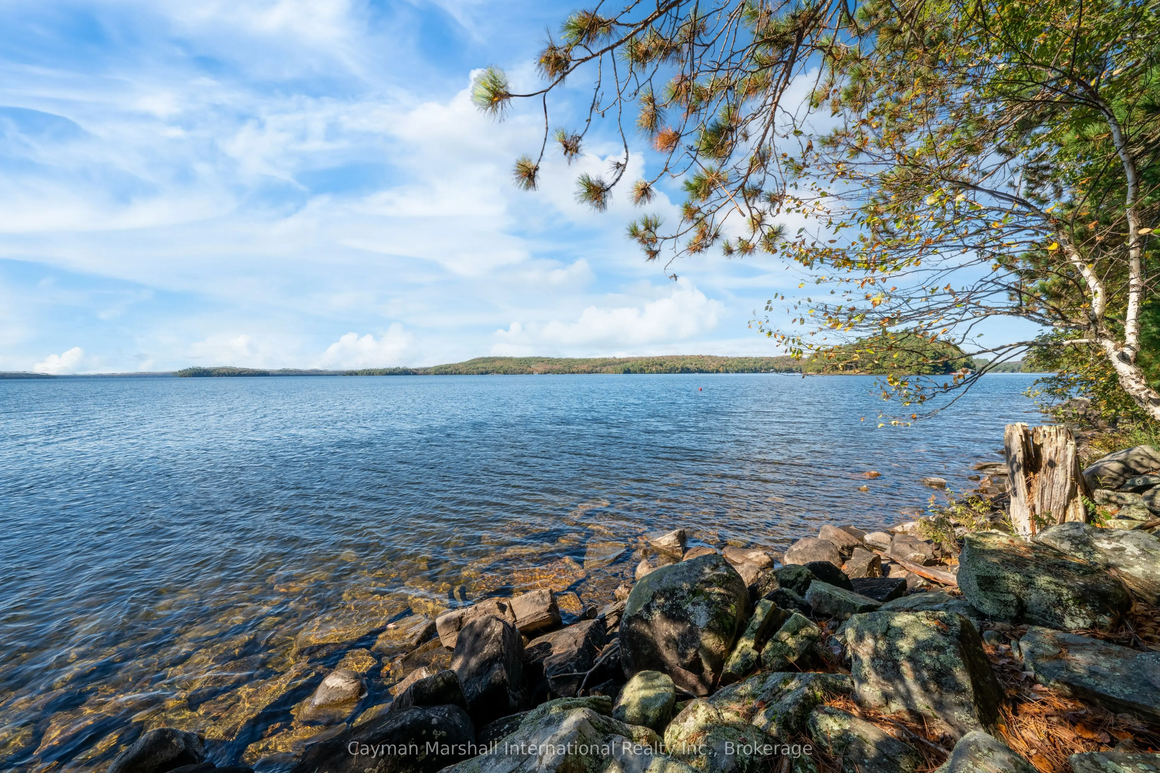 1002 Montgomery Point Road, #2