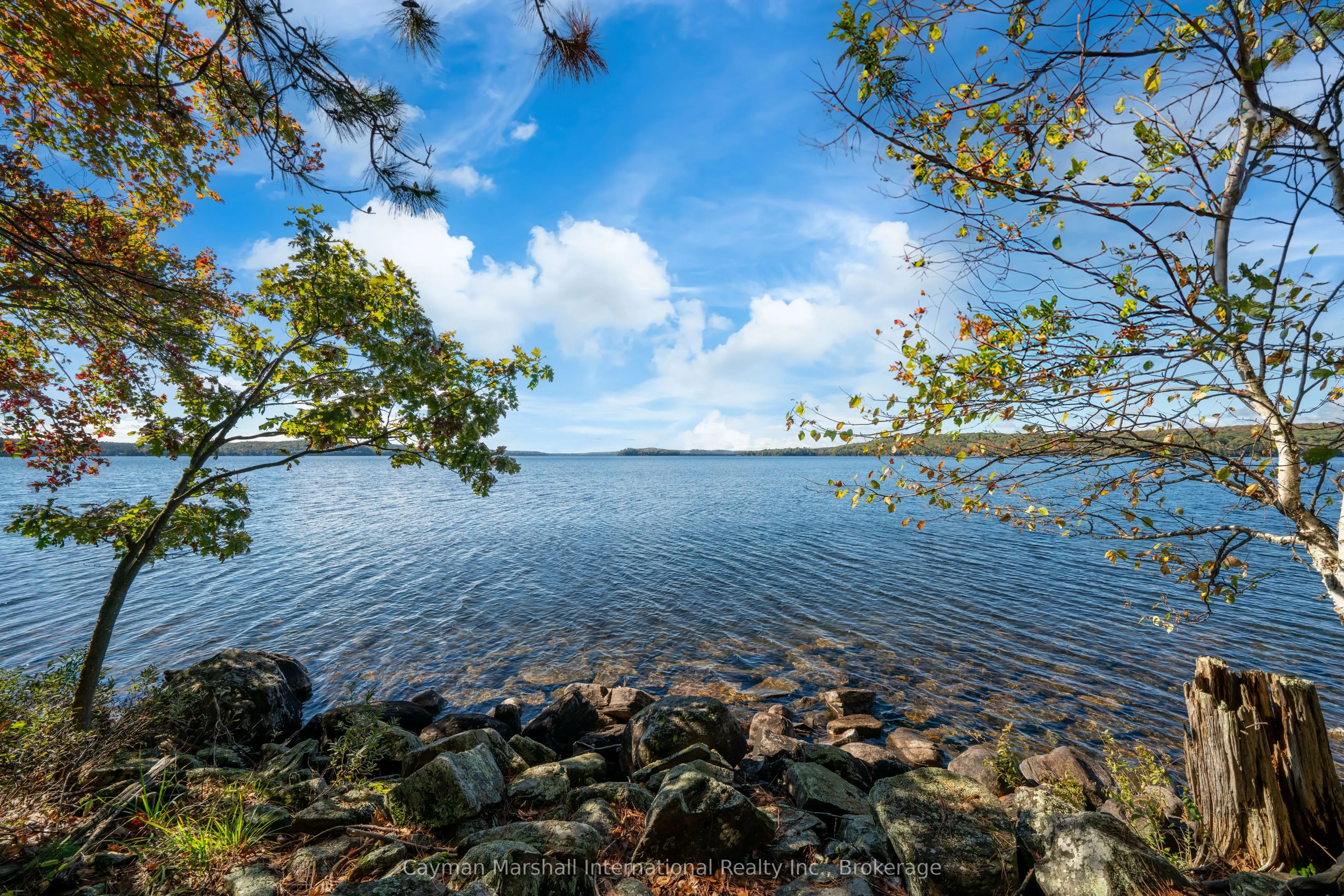 1002 Montgomery Point Road, #2