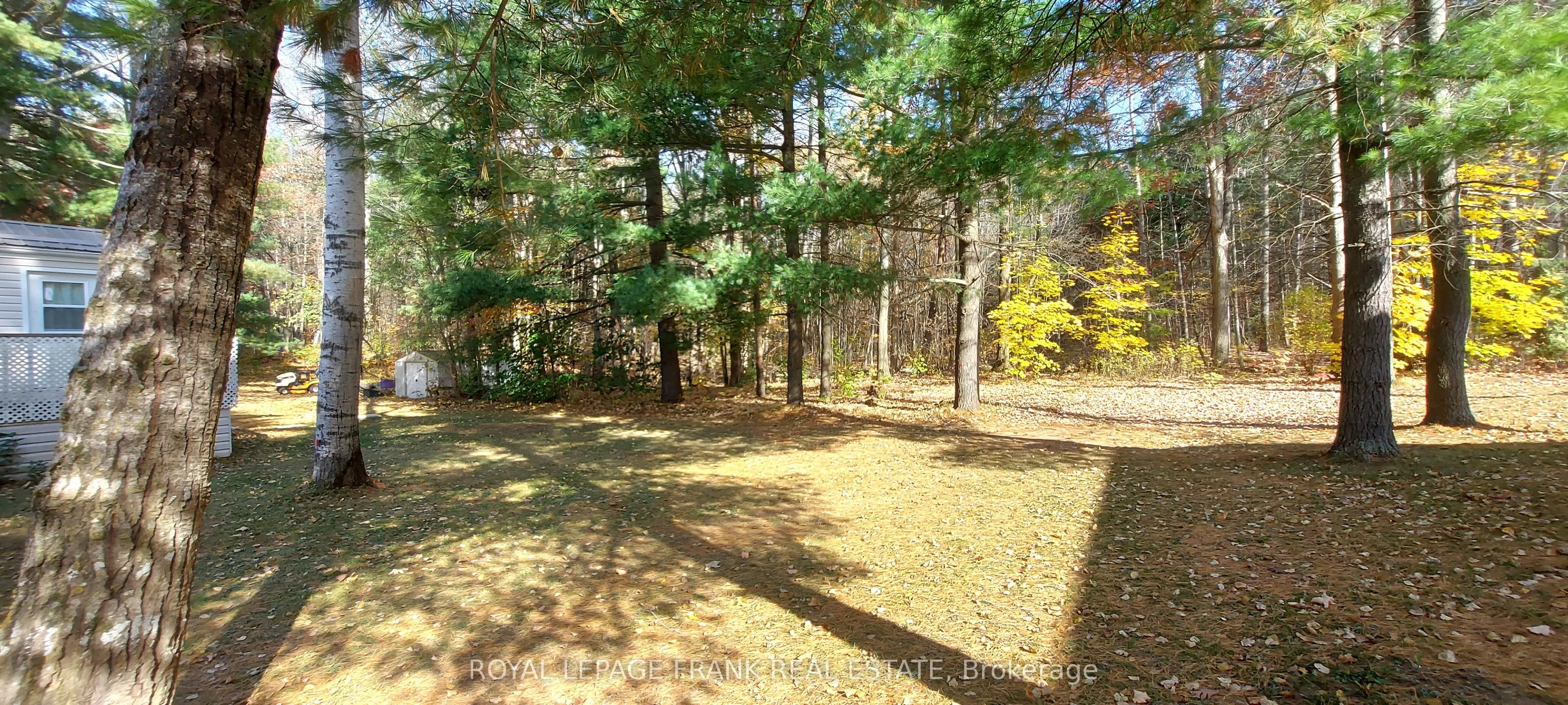83 Belmont Street