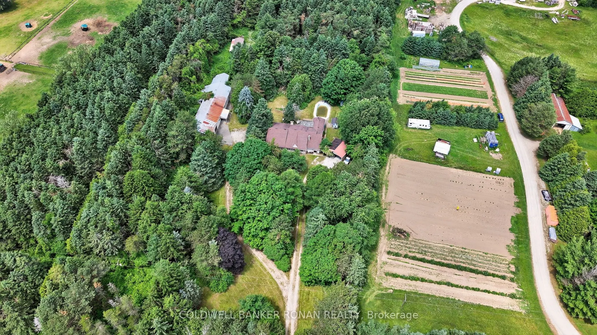 388055 Mono Center Road