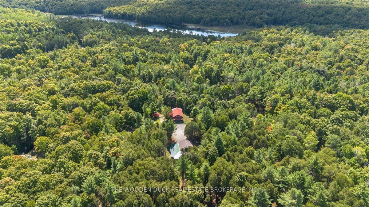 6683 Old Hastings Road