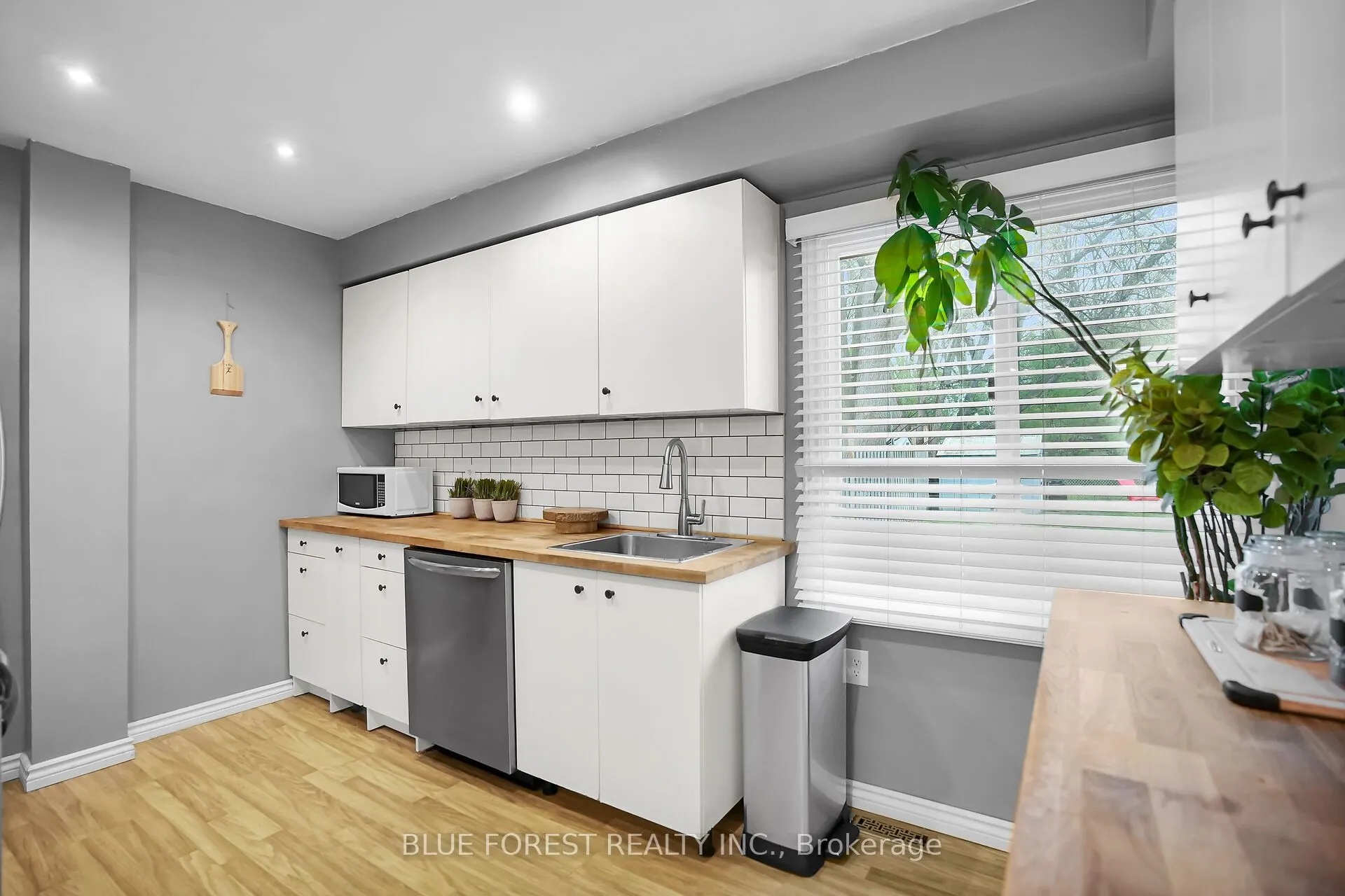 9 ARDSLEY Road