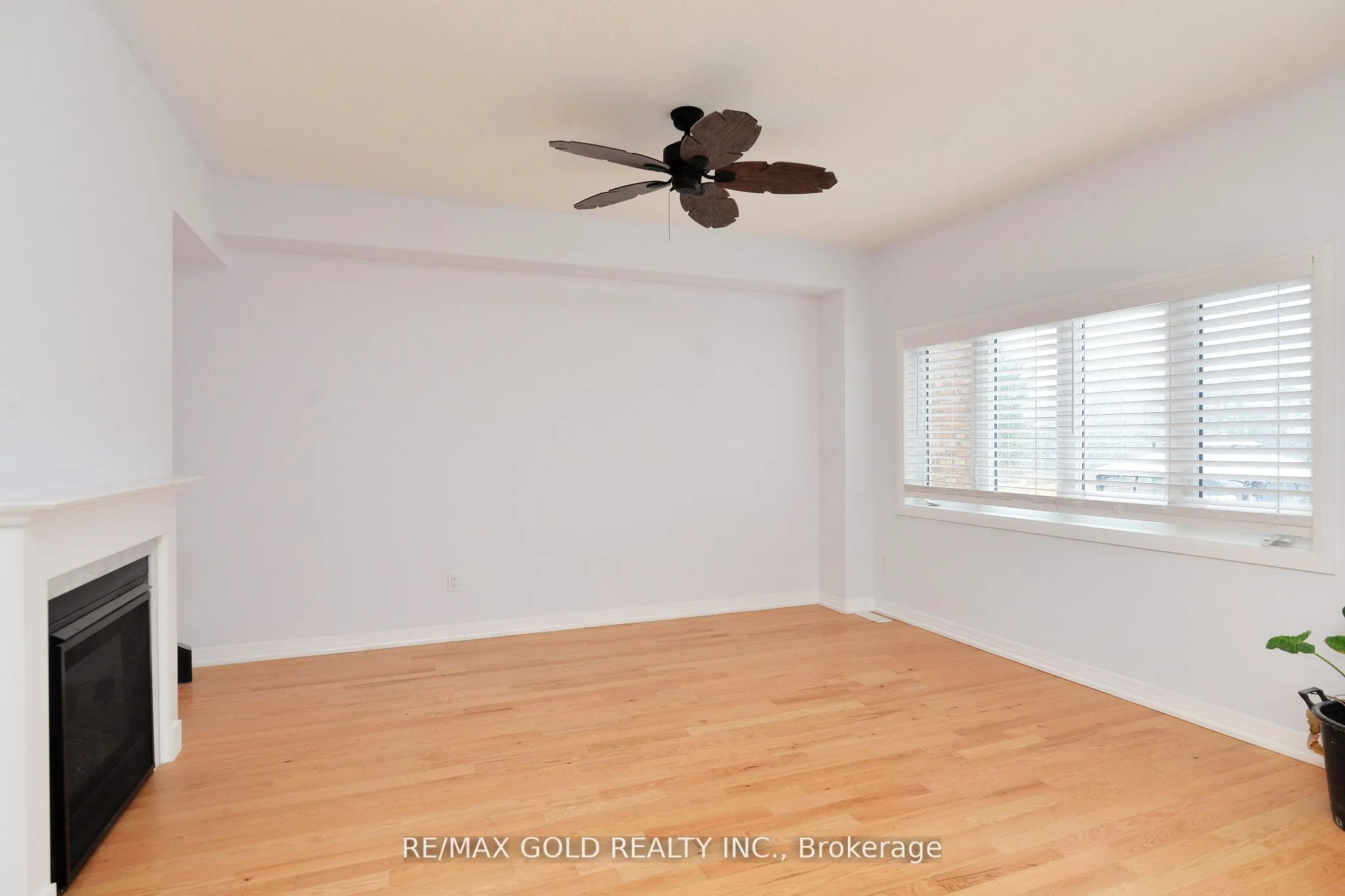35 Rainey Drive