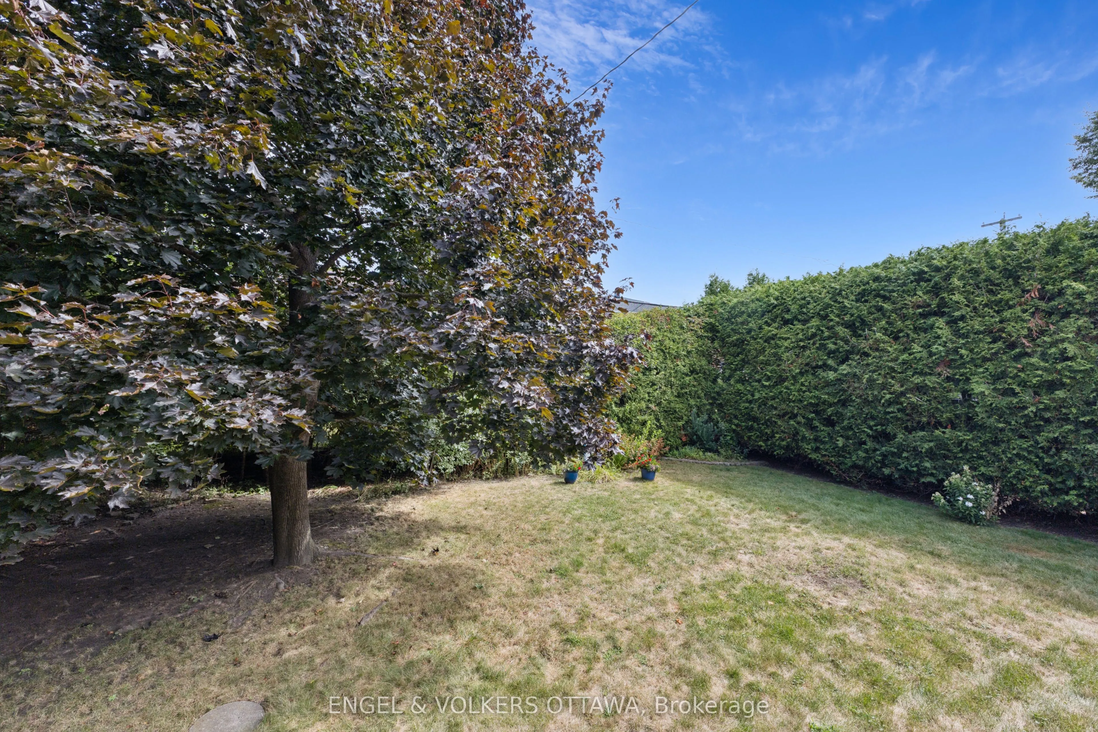 1161 Cameo Drive