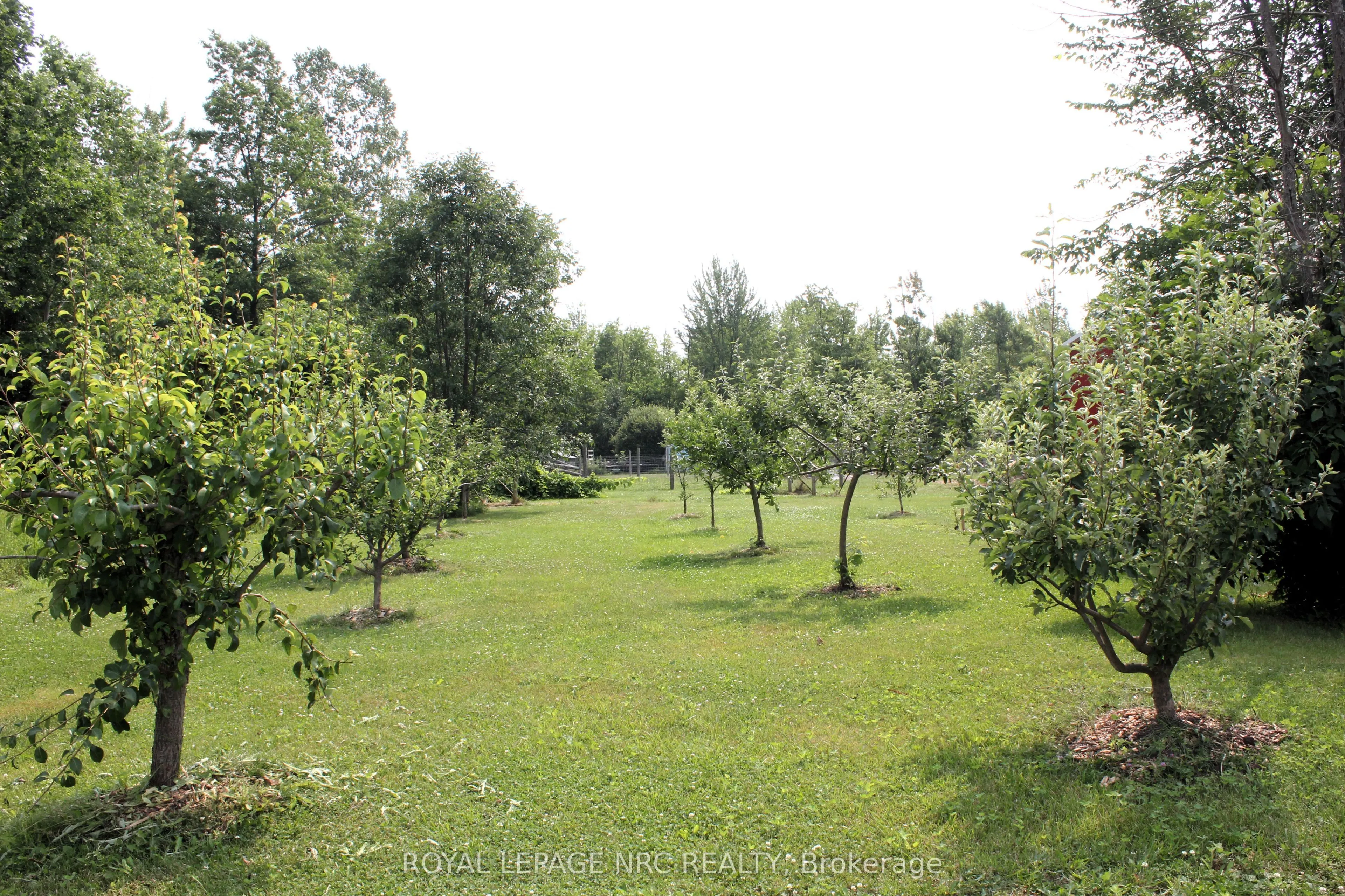 4511 Miller Road