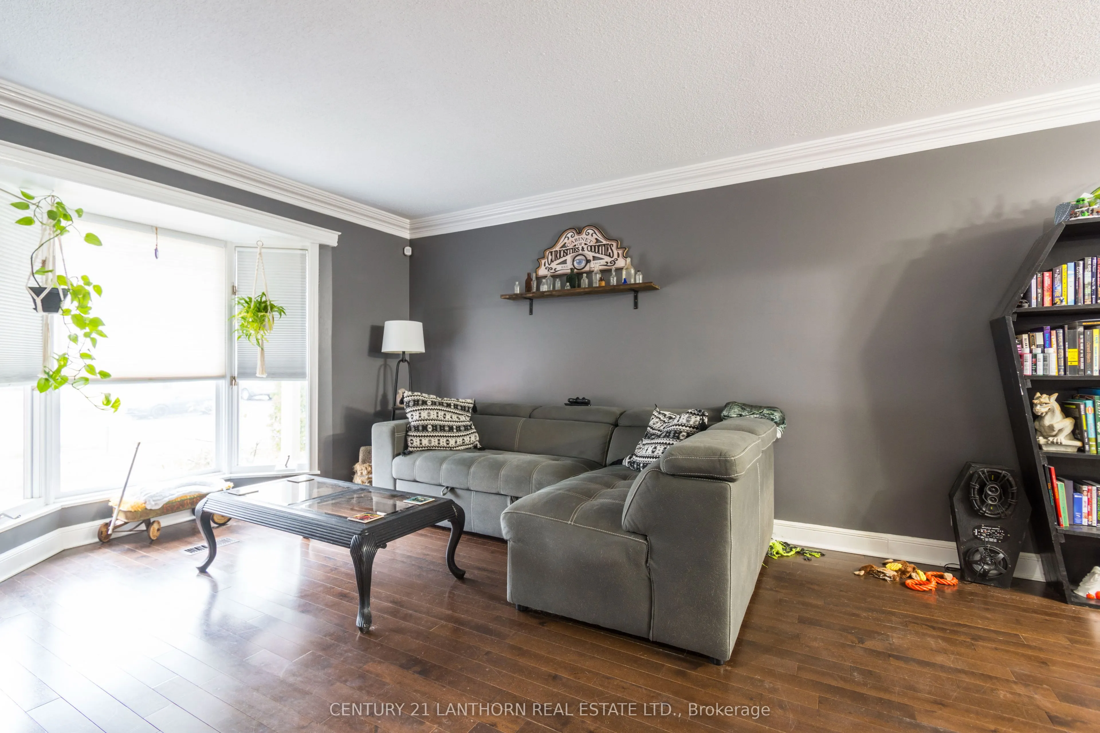 19 Bogart Crescent