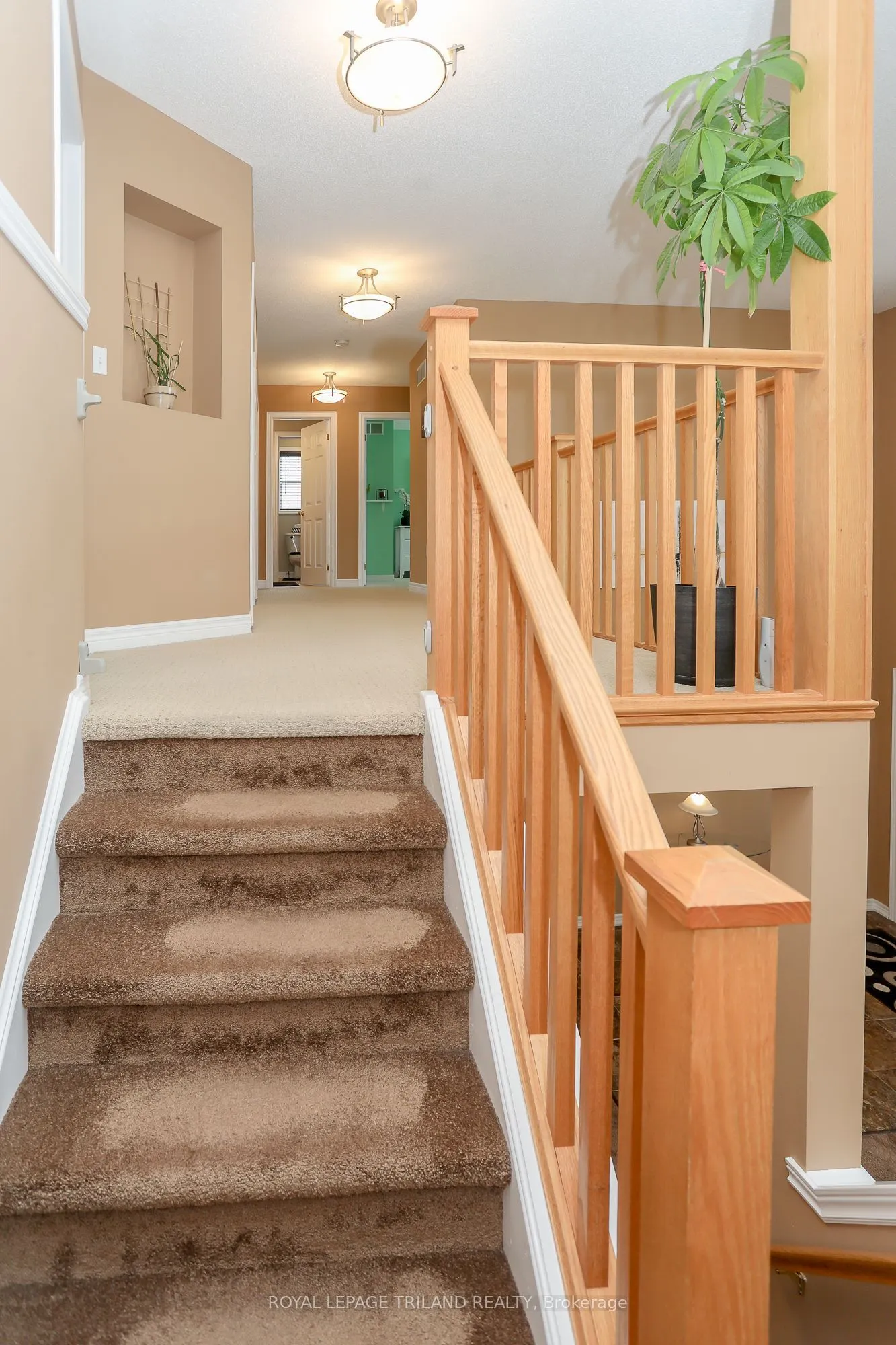 1356 Birchwood Drive