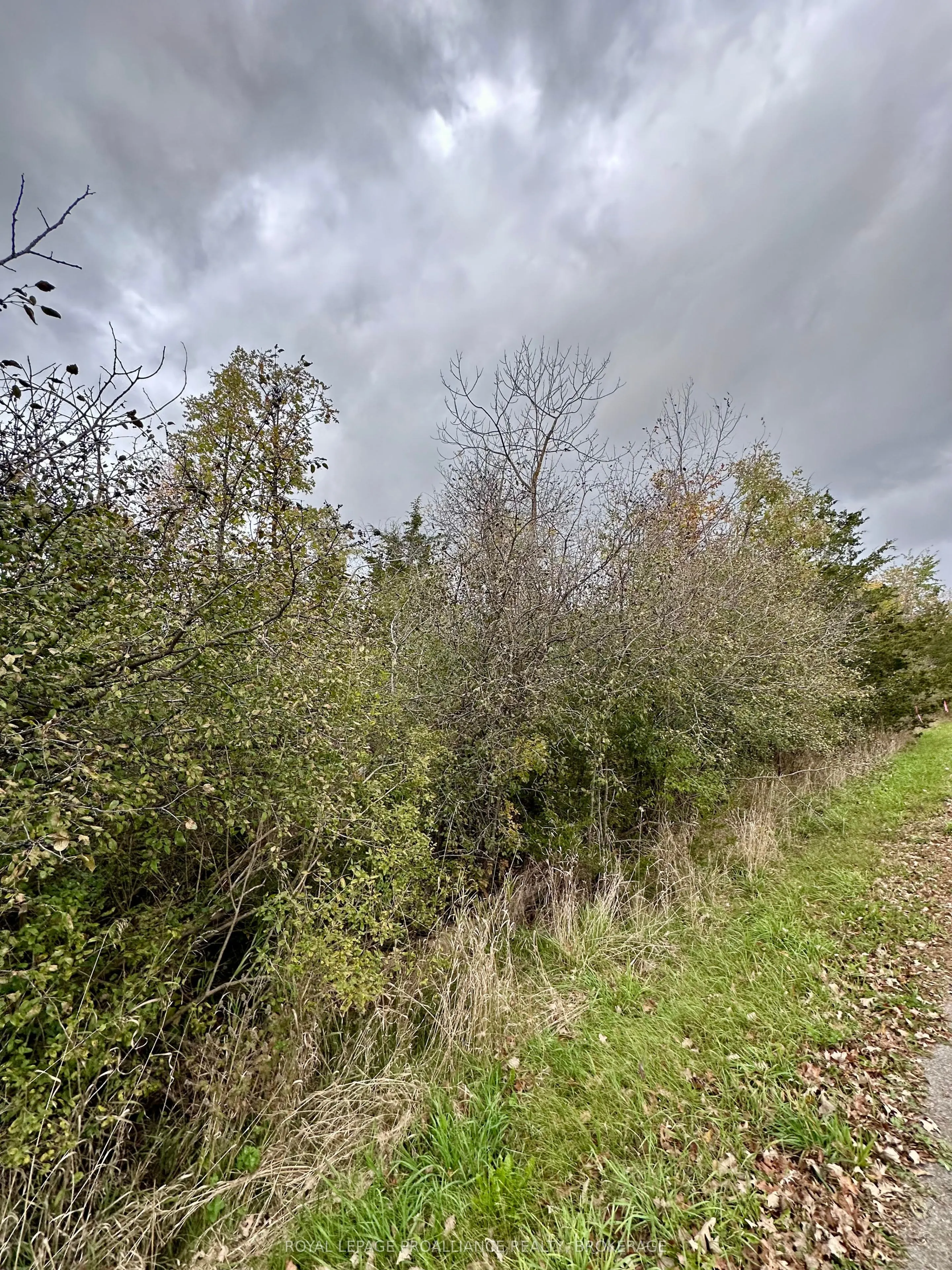 Lot 15 Martin Drive