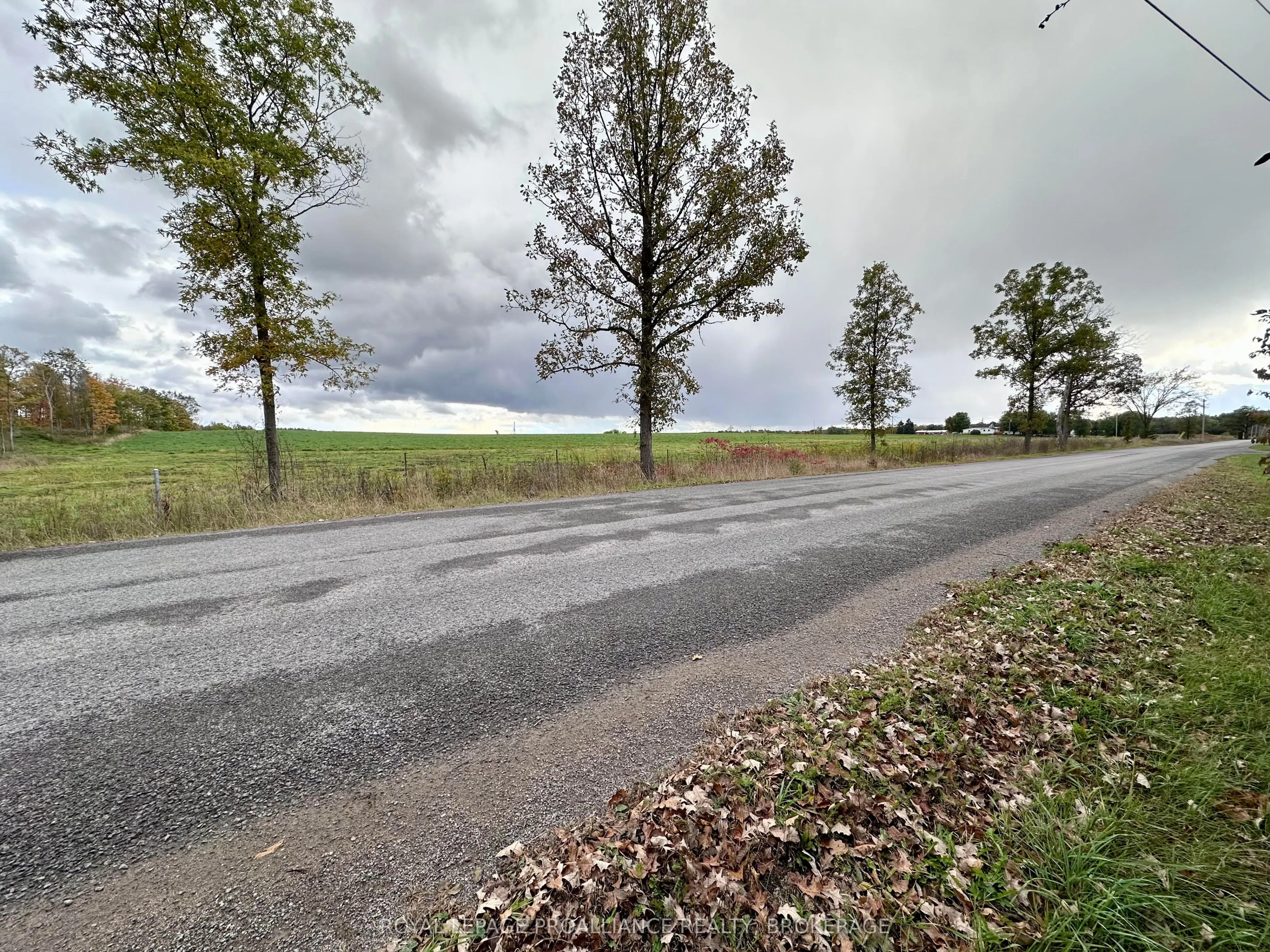 Lot 15 Martin Drive
