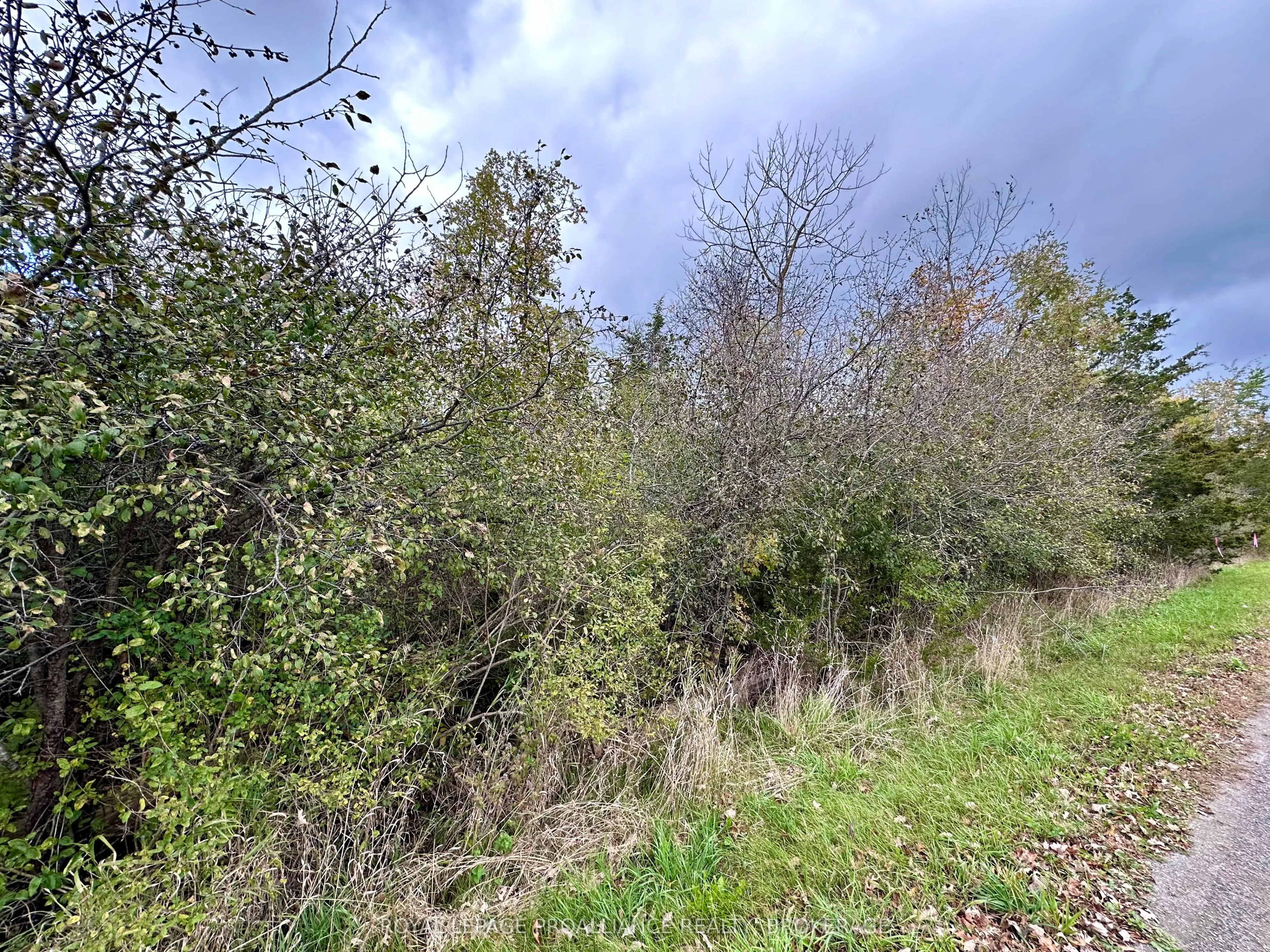 Lot 15 Martin Drive
