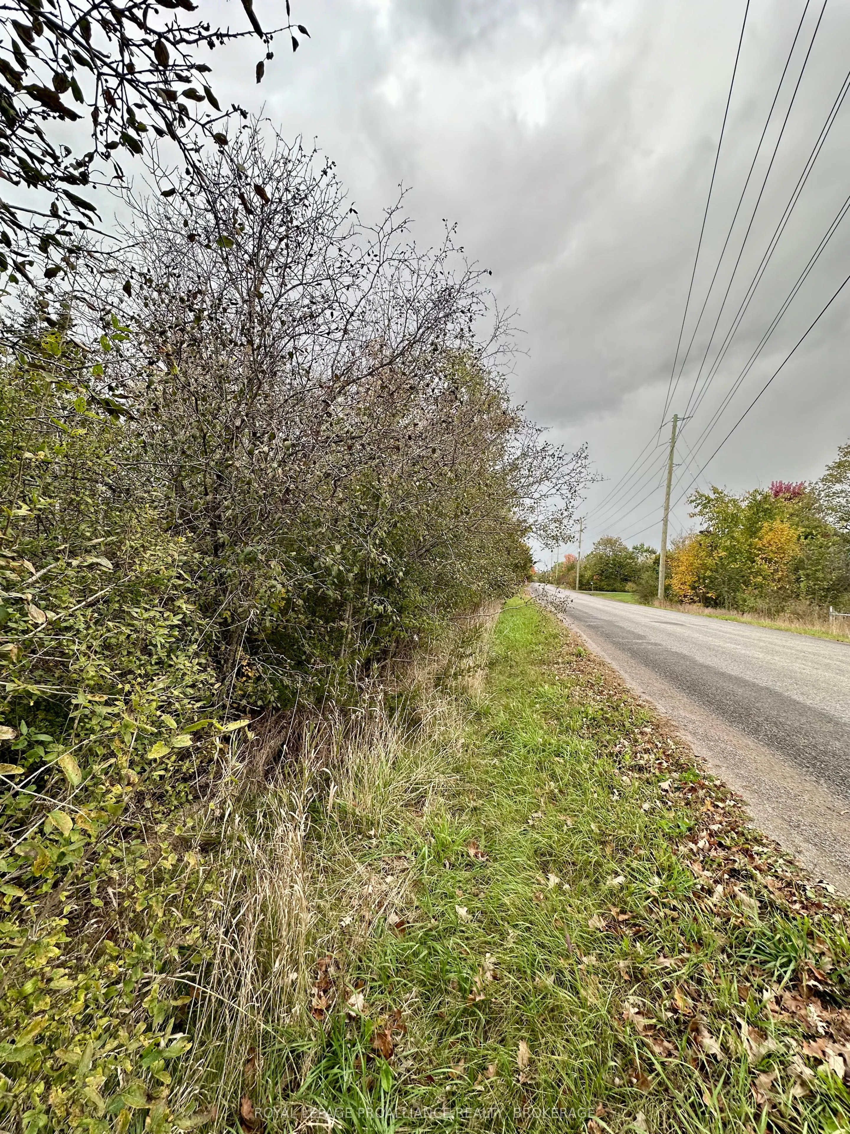 Lot 15 Martin Drive