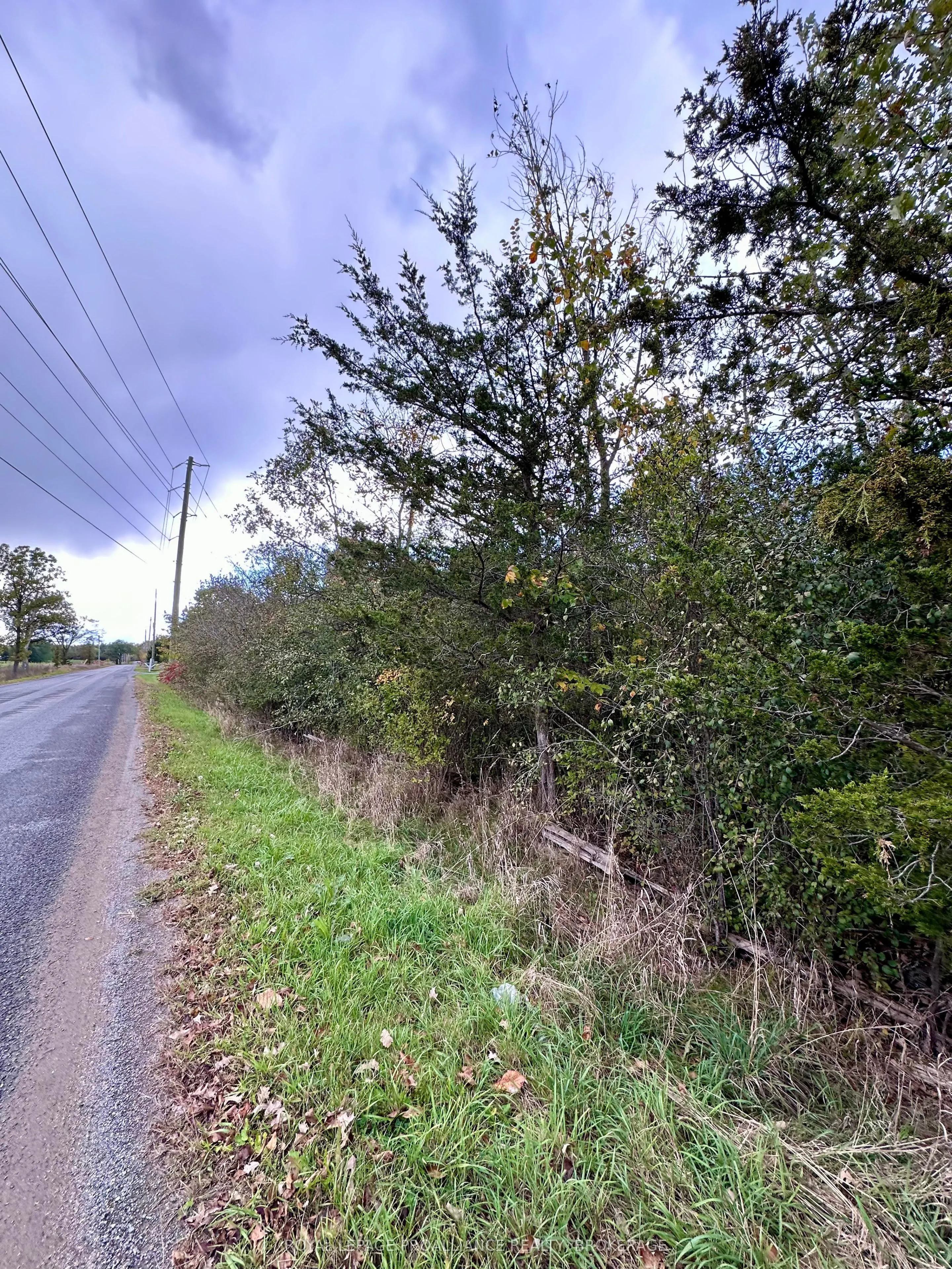 Lot 15 Martin Drive