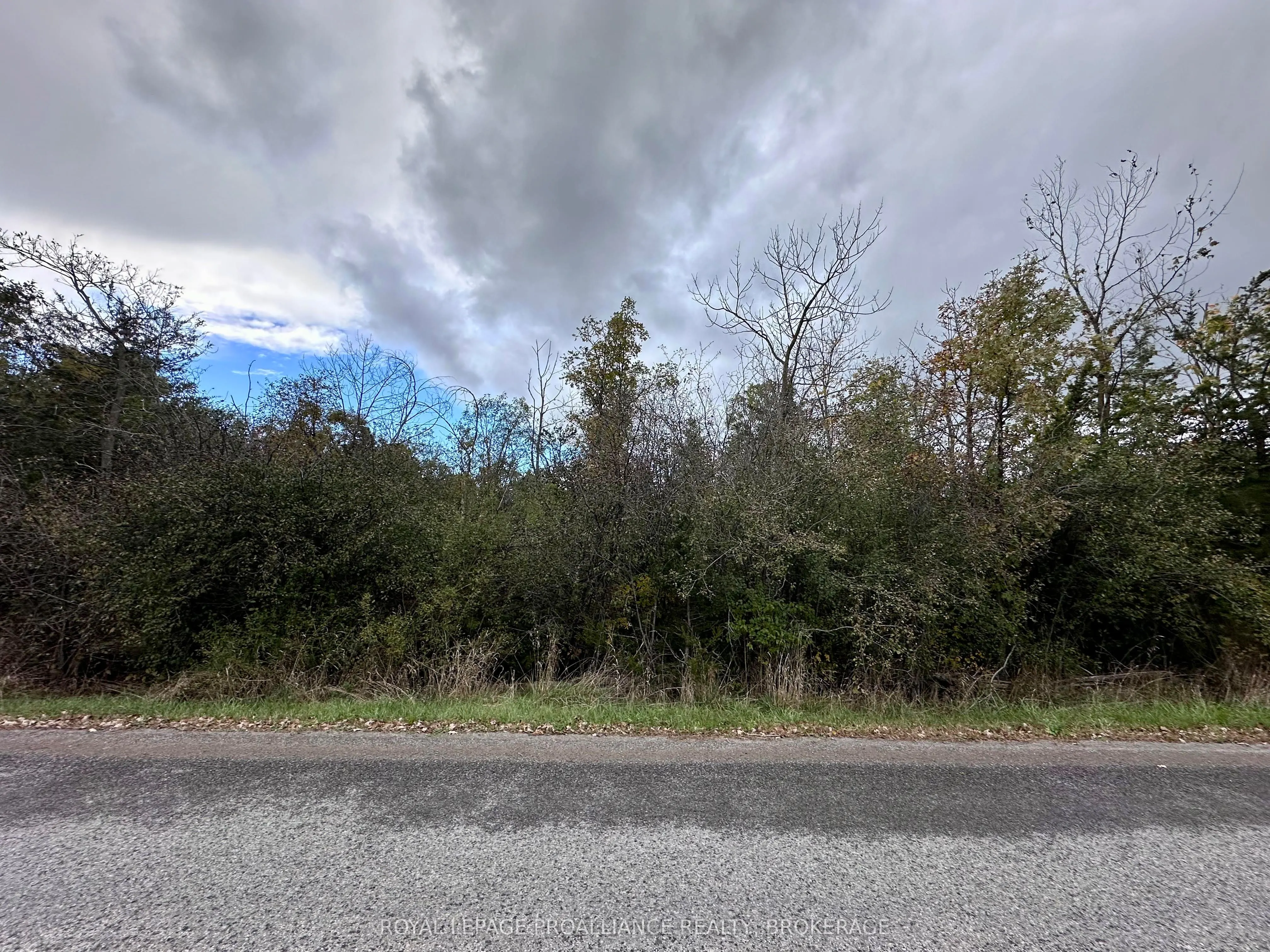Lot 15 Martin Drive