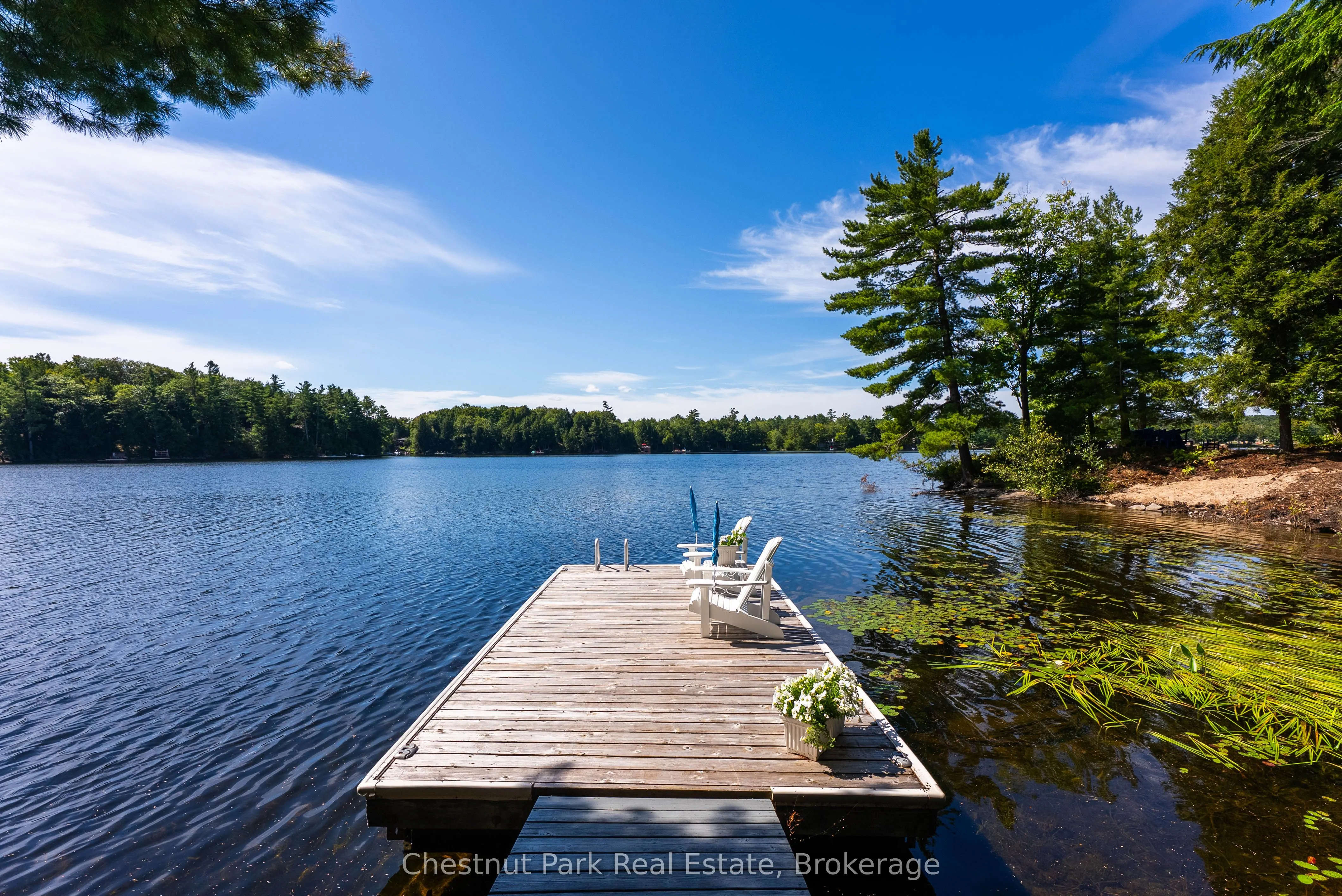 1192 Whites Road, #5