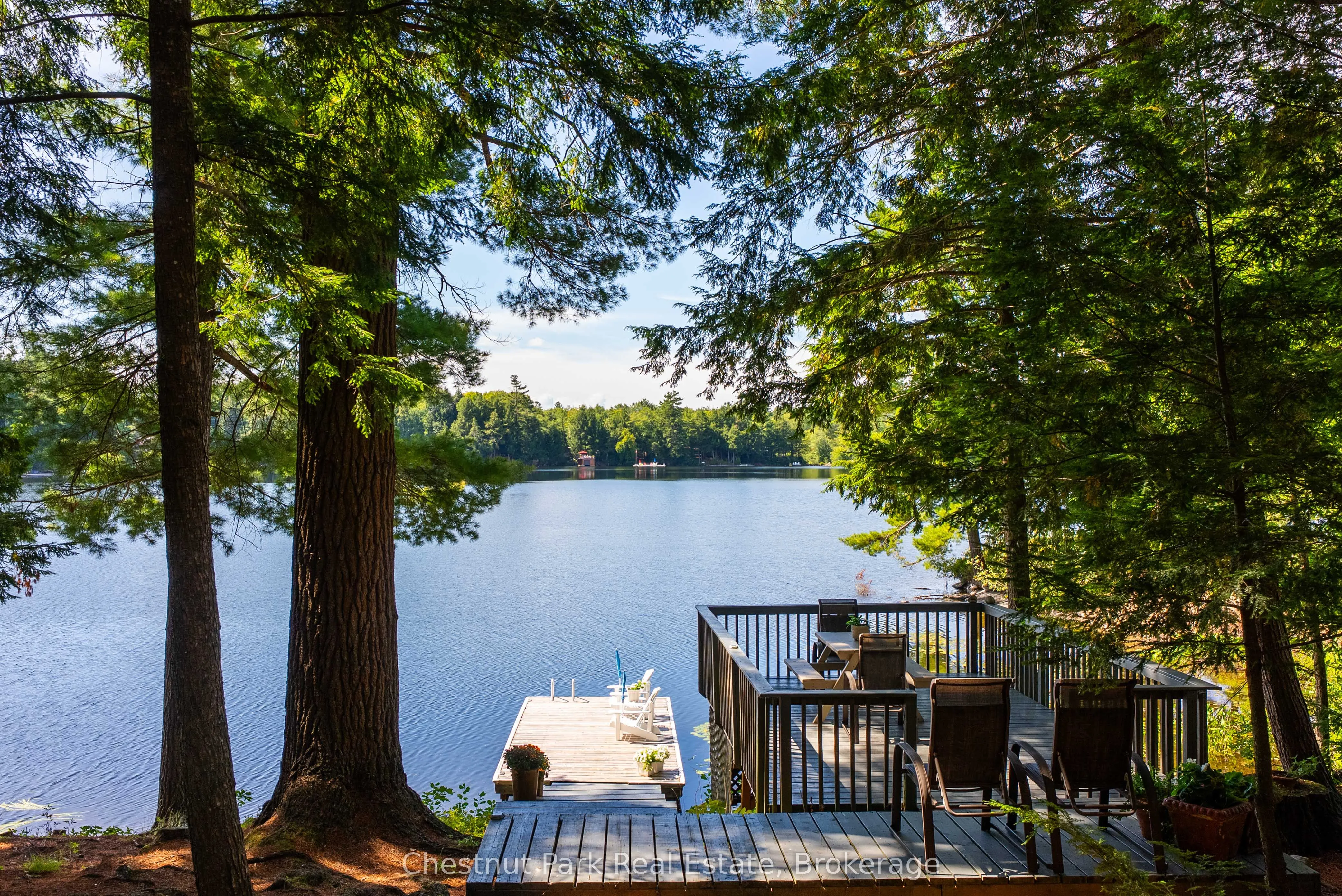 1192 Whites Road, #5
