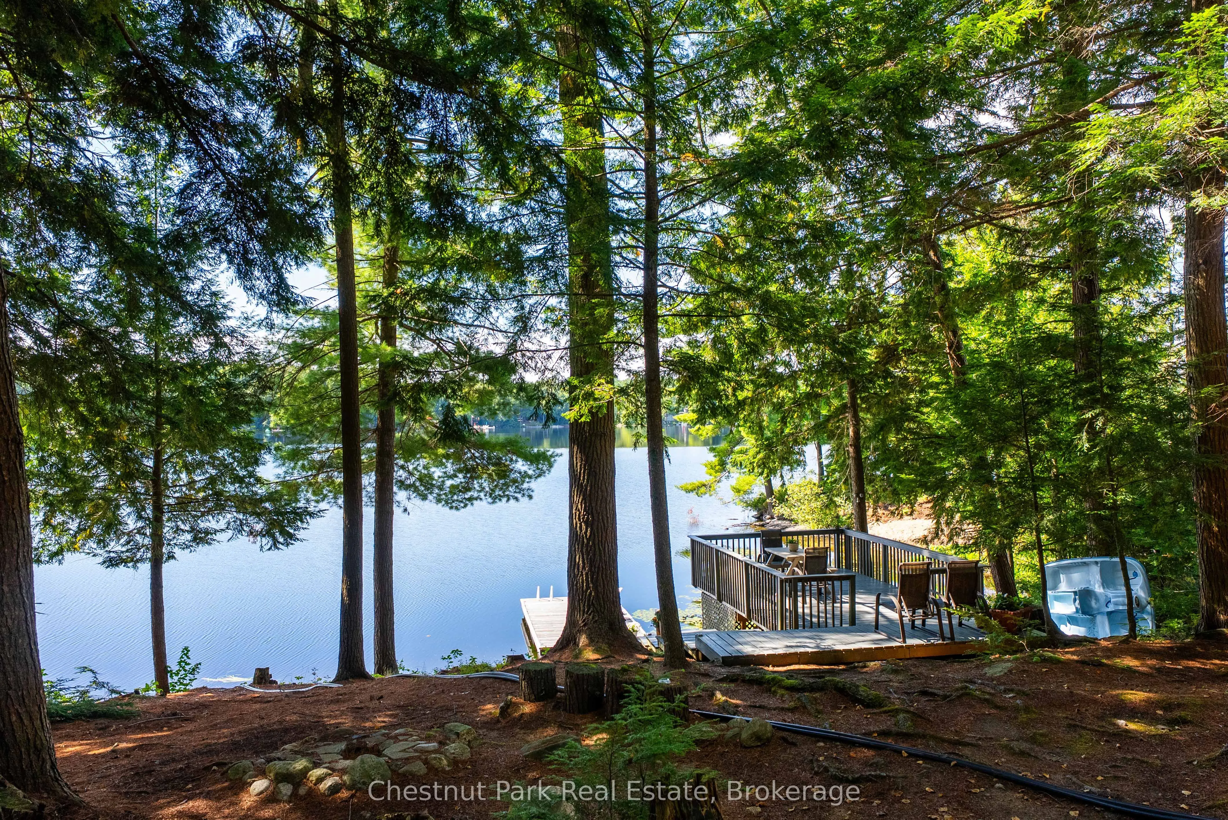 1192 Whites Road, #5