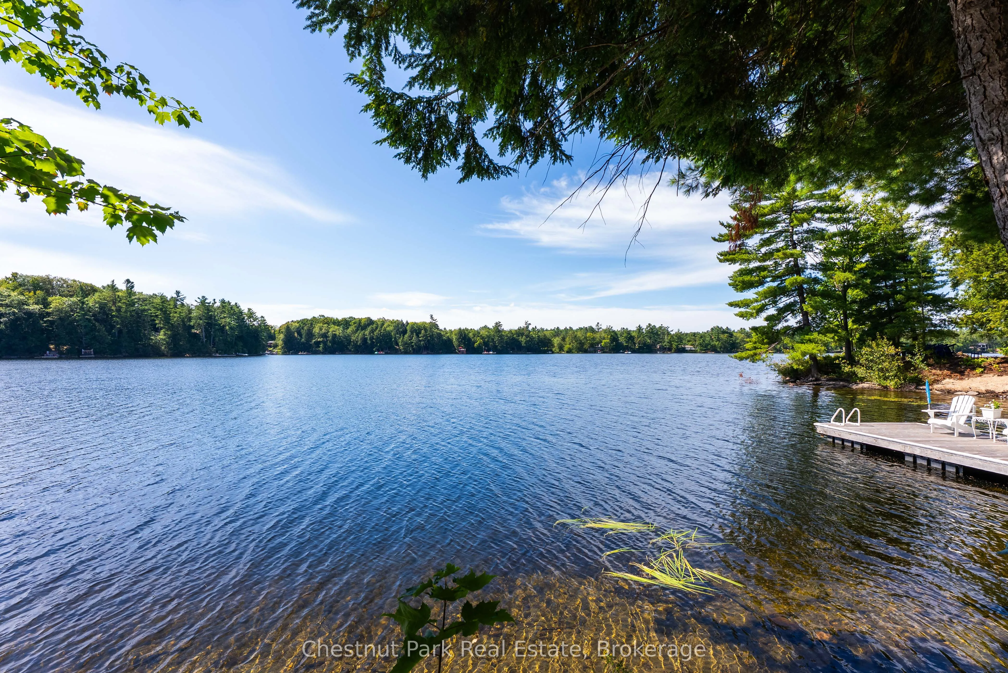 1192 Whites Road, #5