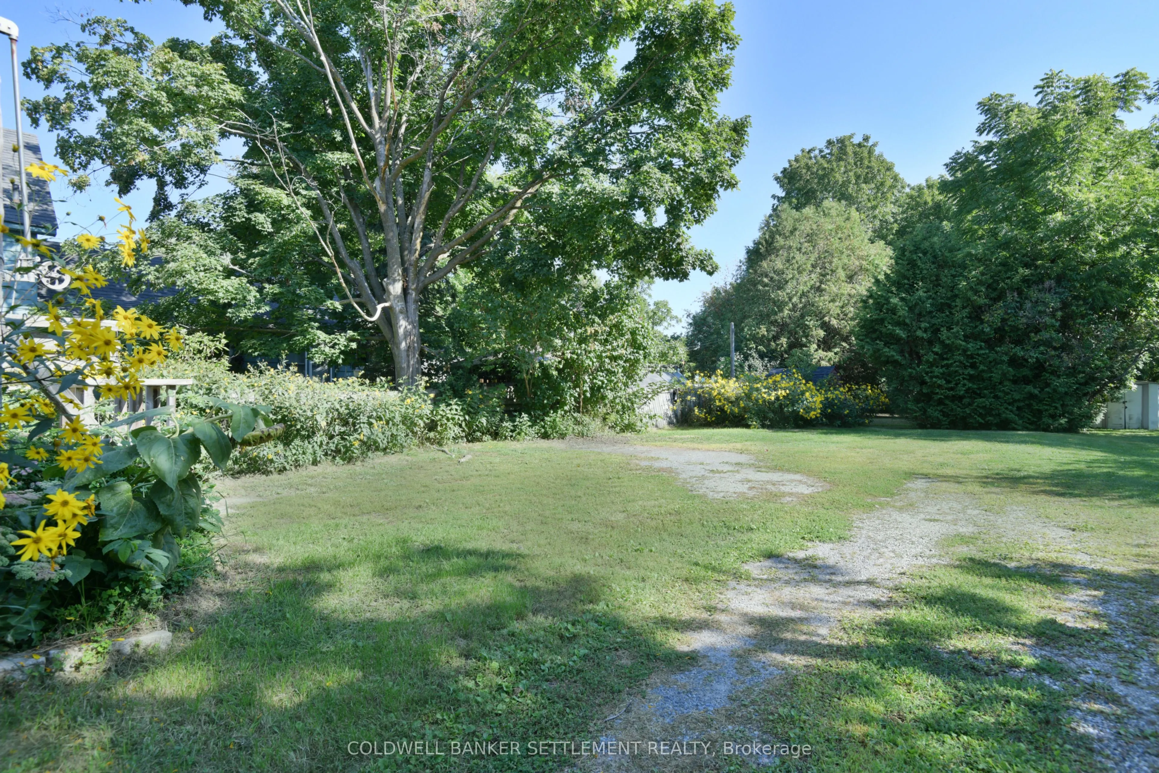 89 Drummond Street E