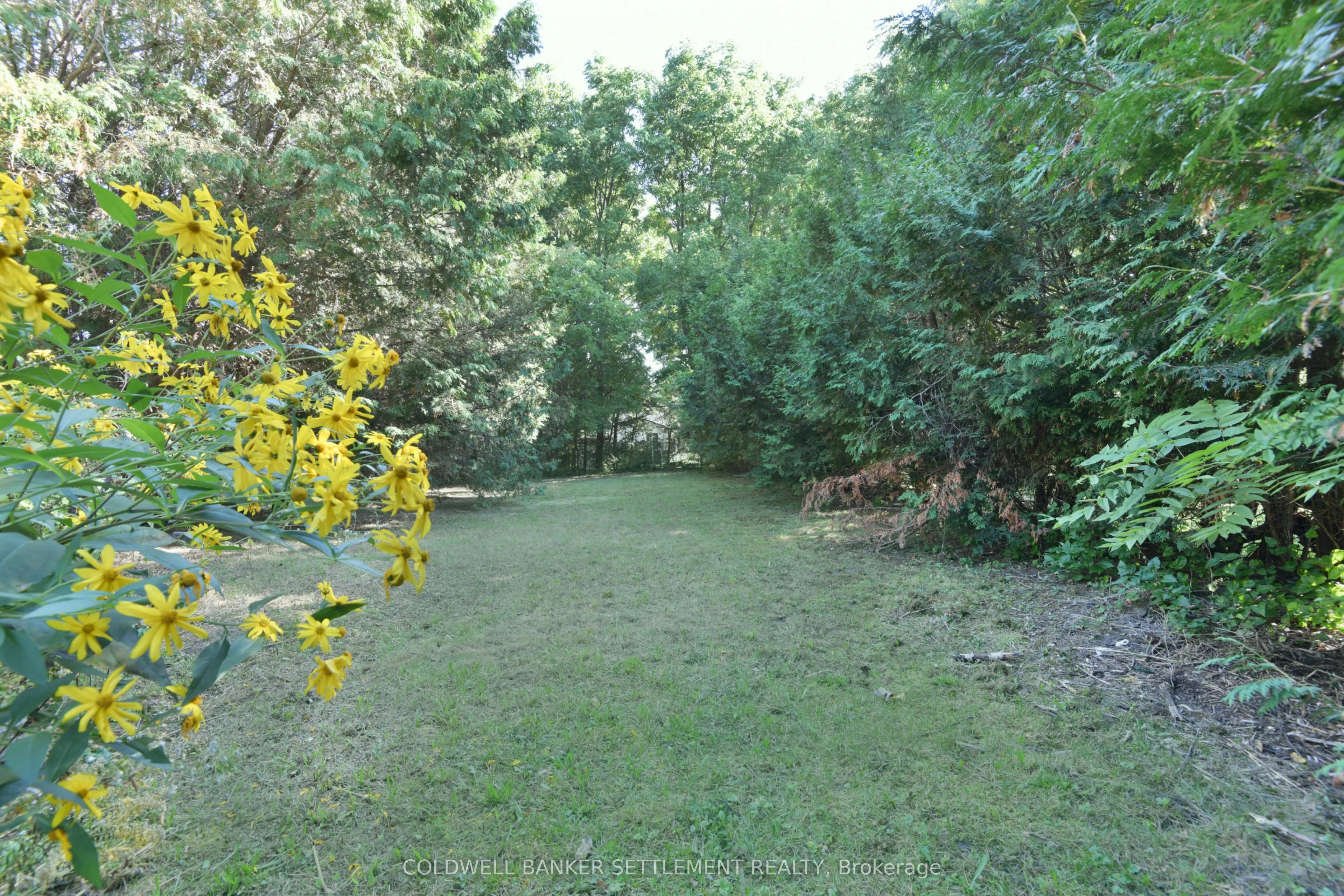 89 Drummond Street E