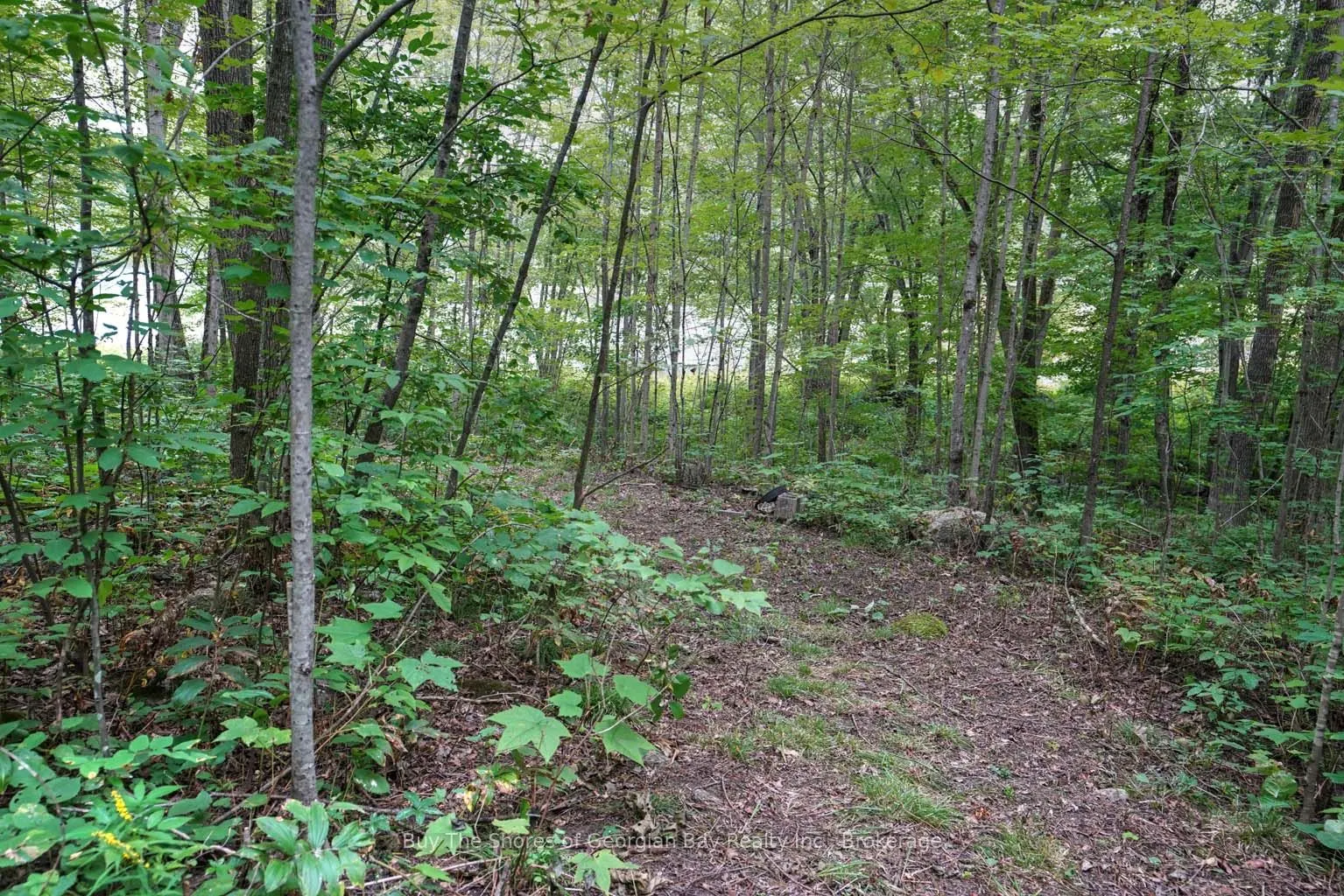 1088 Ashgrove Trail, #44