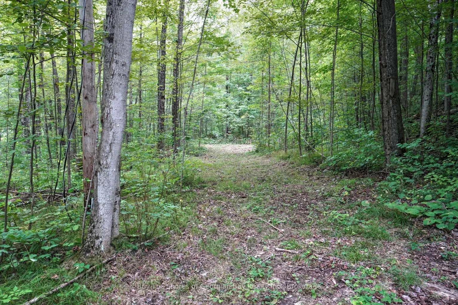 1088 Ashgrove Trail, #44