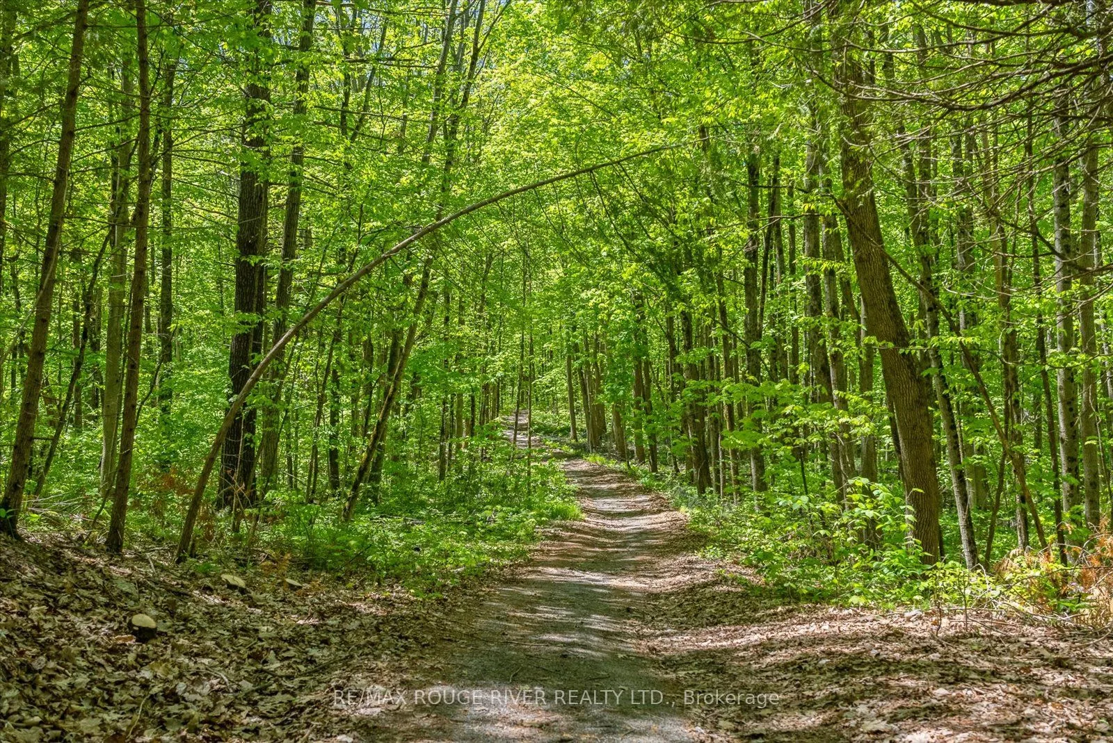 283B Marble Point Road