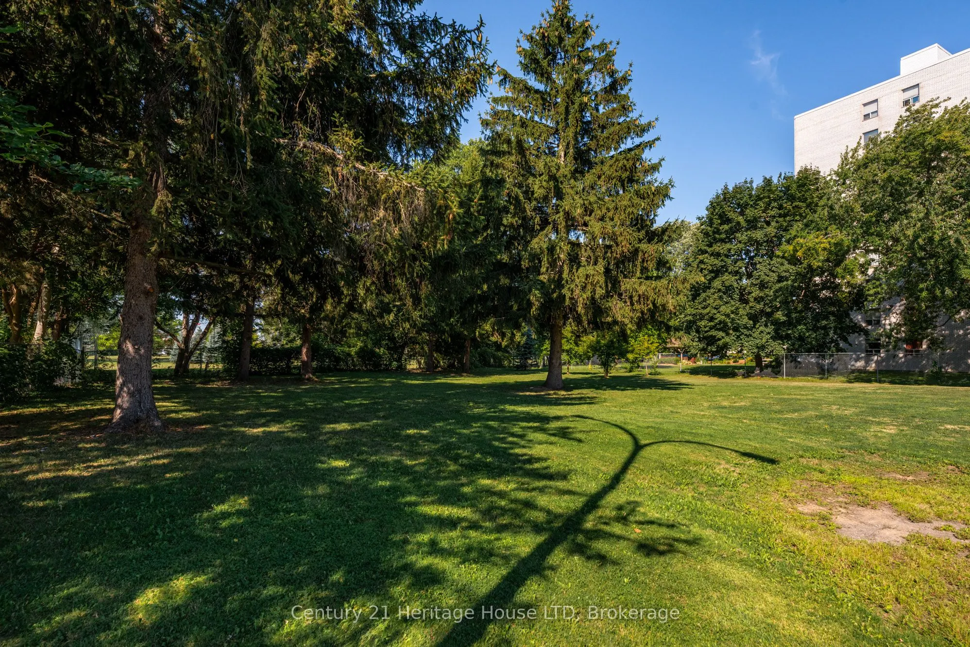 359 Geneva Street, #303