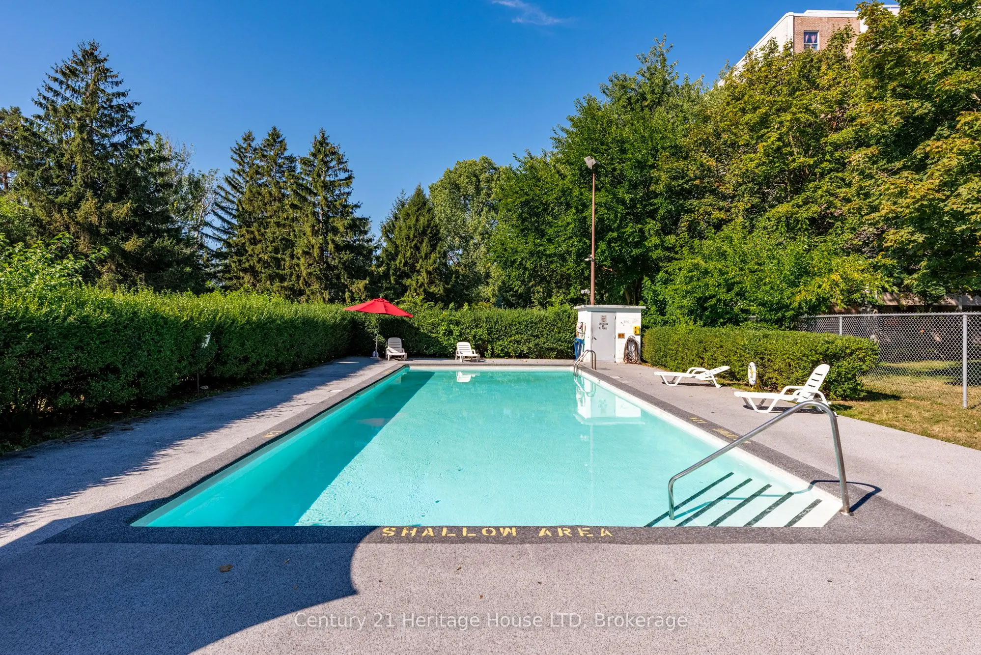 359 Geneva Street, #303