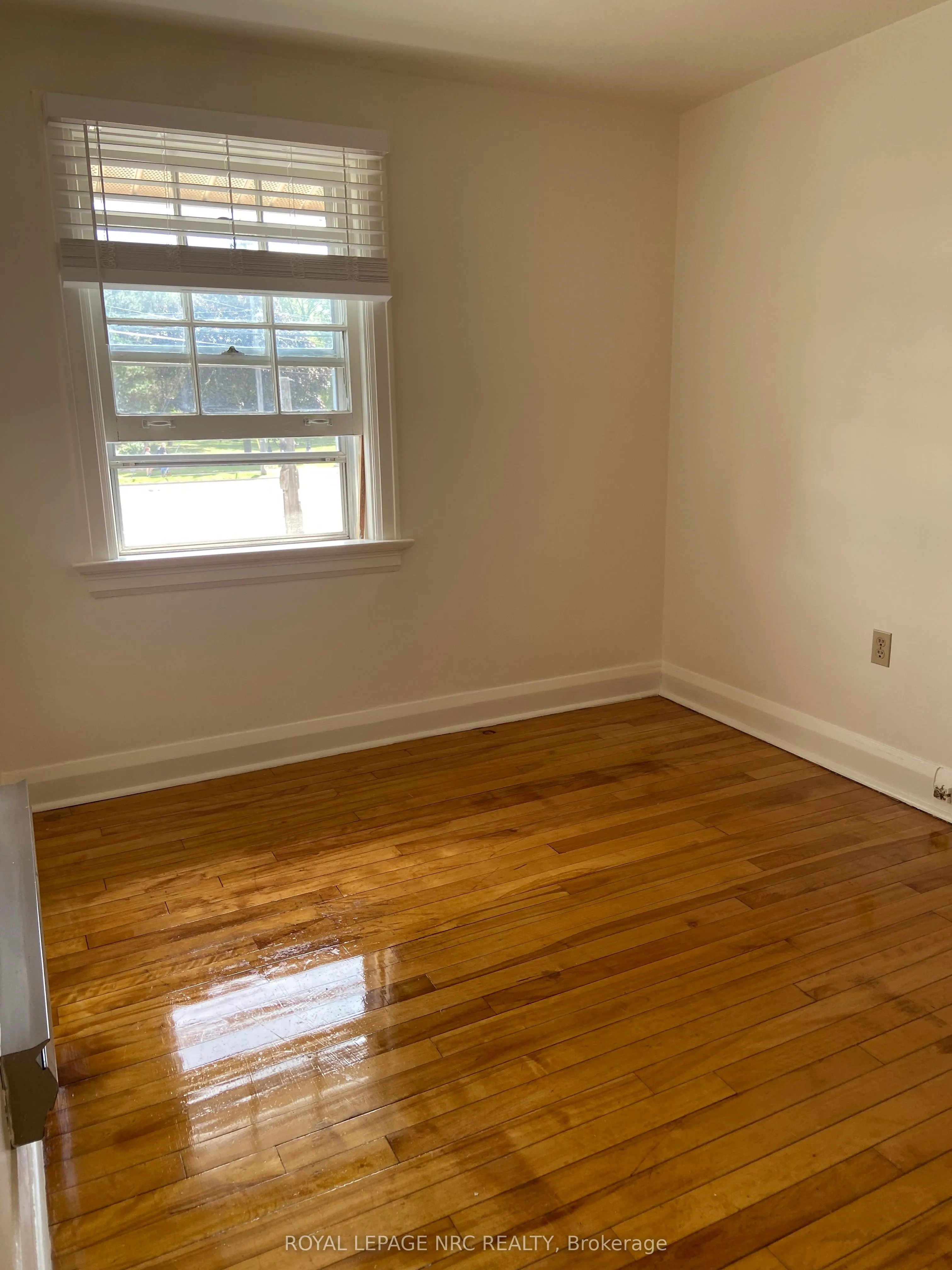 597 Niagara Street, #3