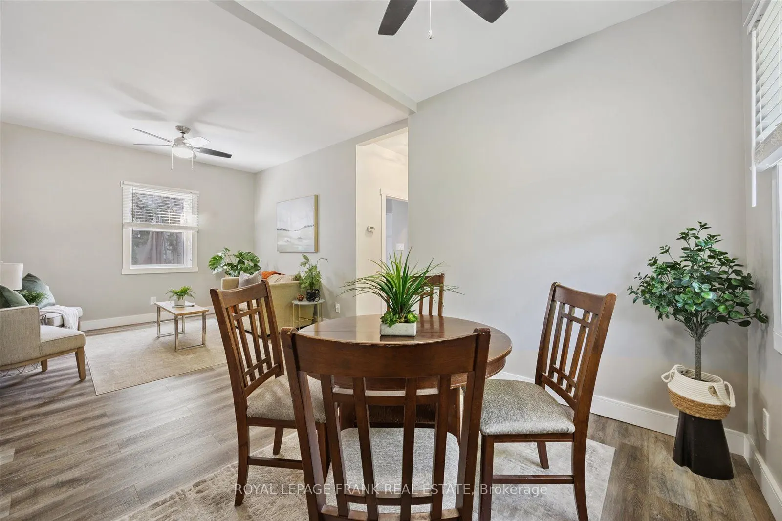 29 Ridout Street