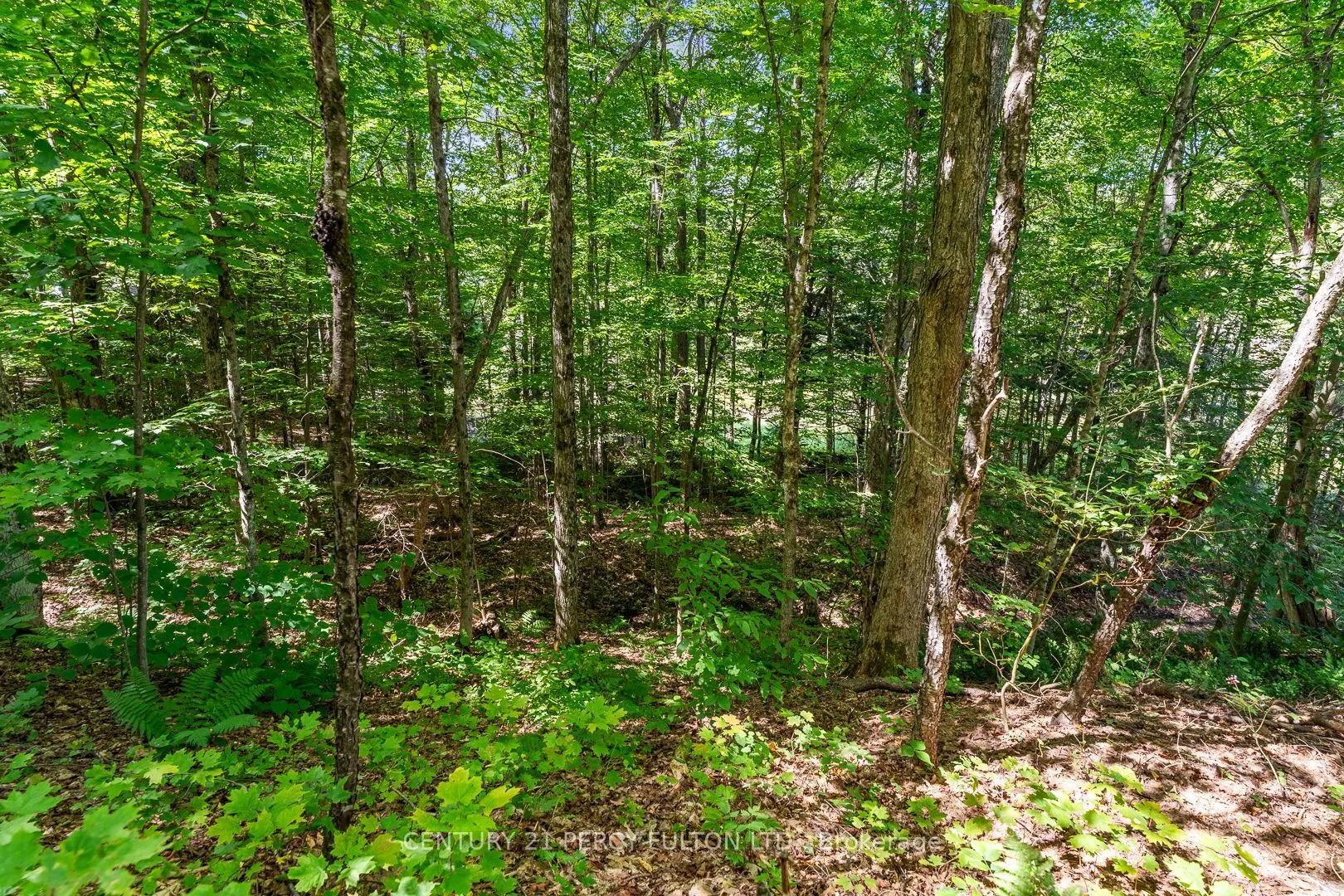 1004 Rosseau Lake 1 Road