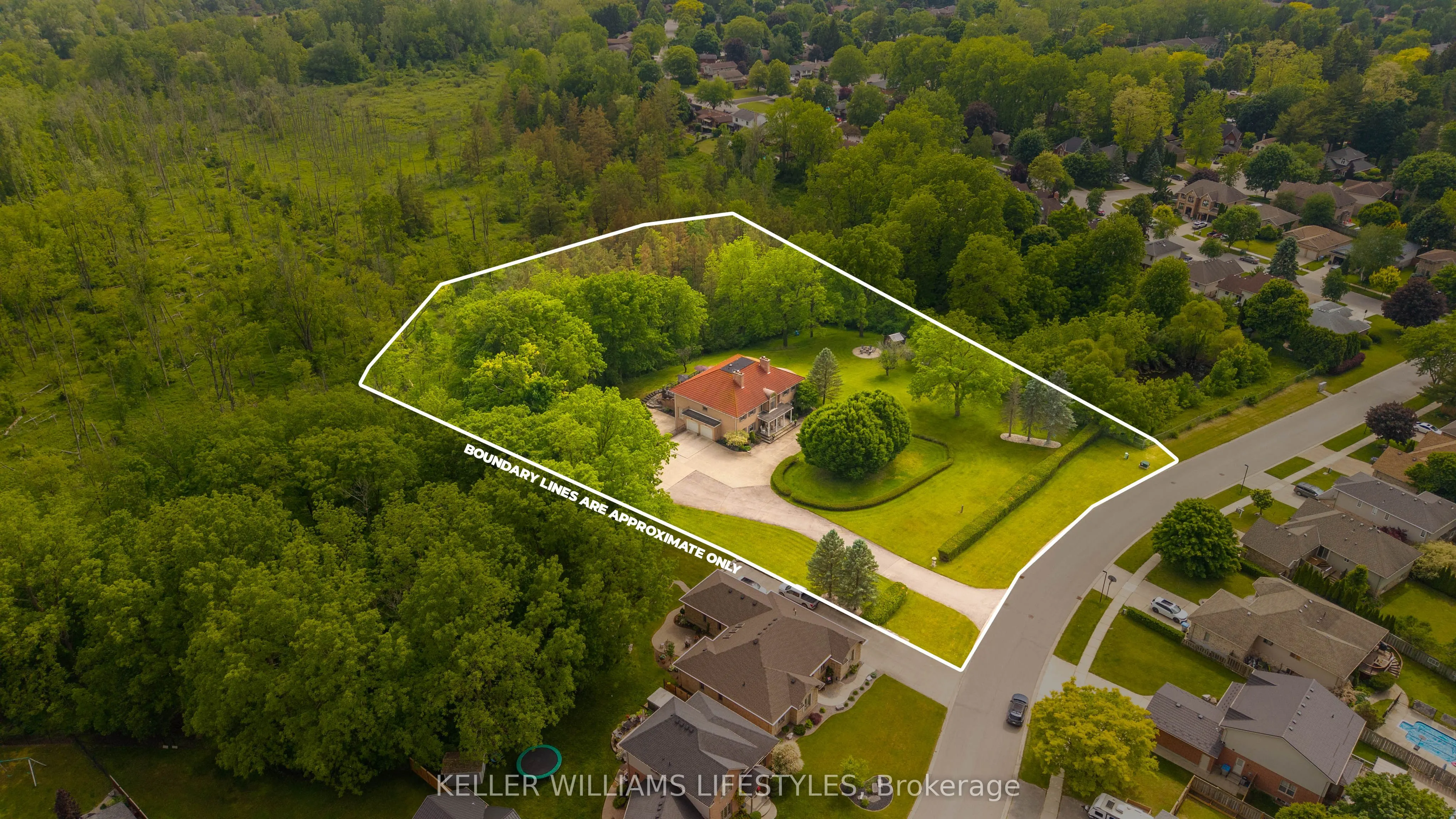 262 Pinetree Lane