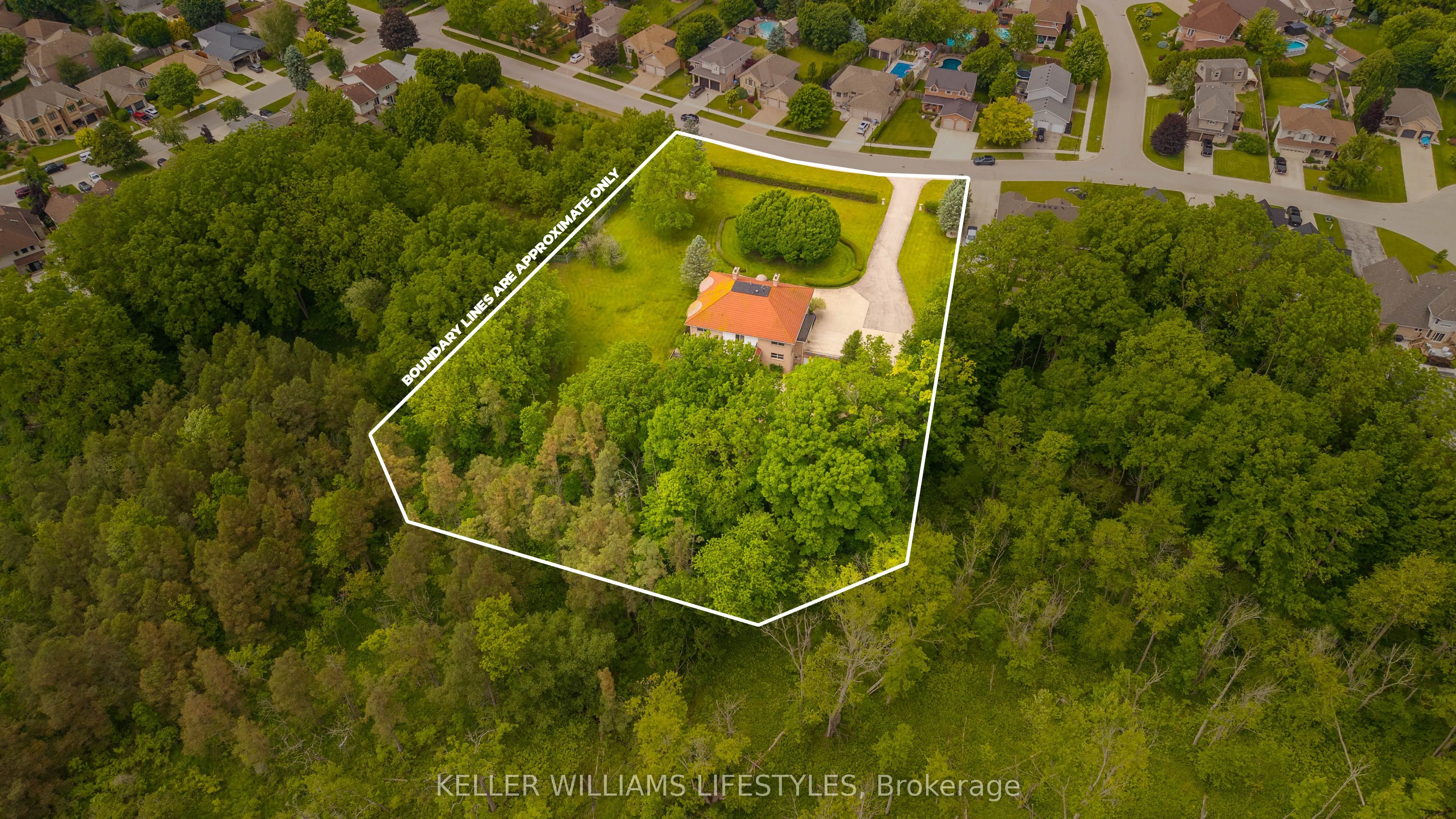262 Pinetree Lane