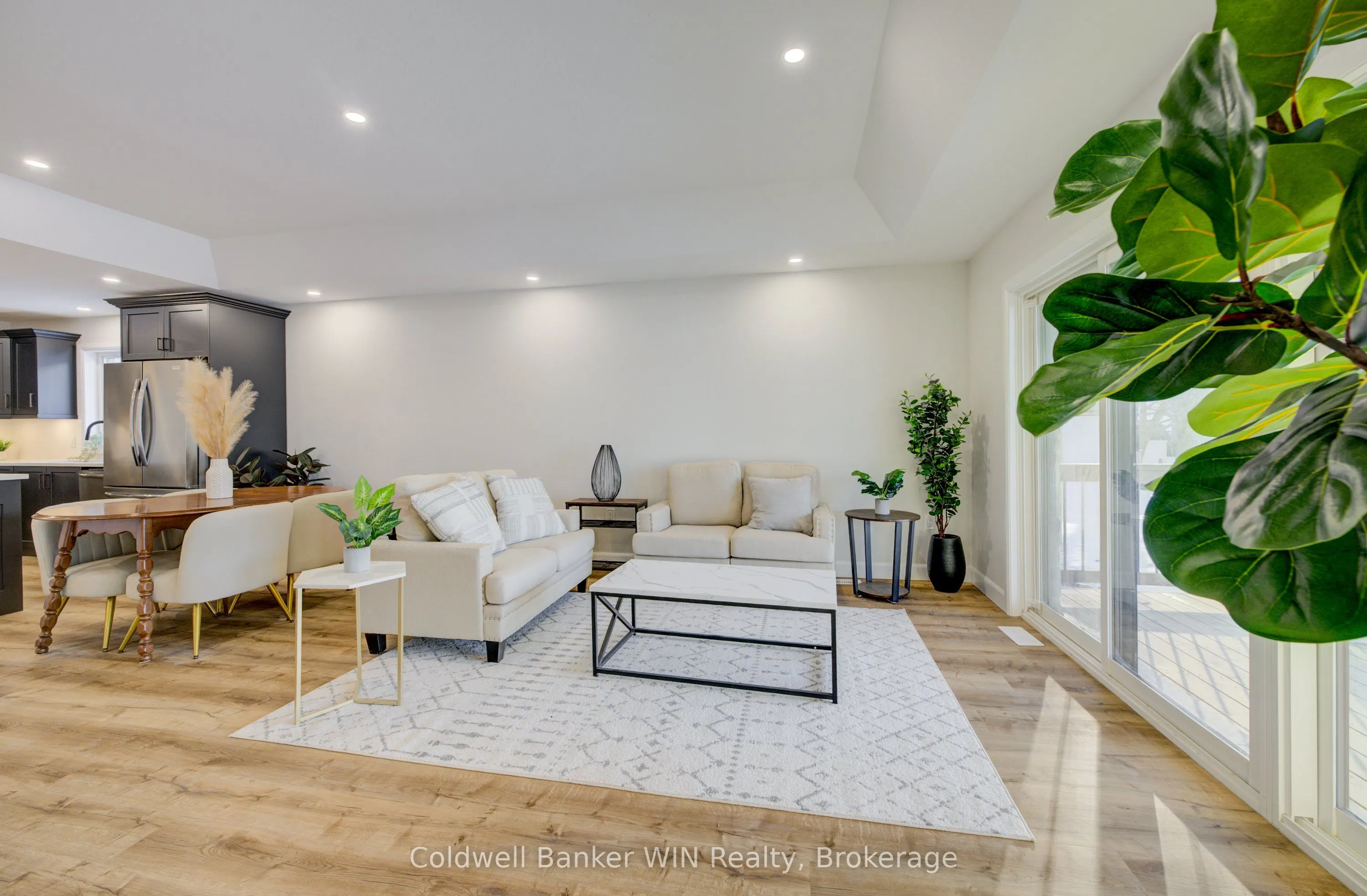217 ELGIN Street
