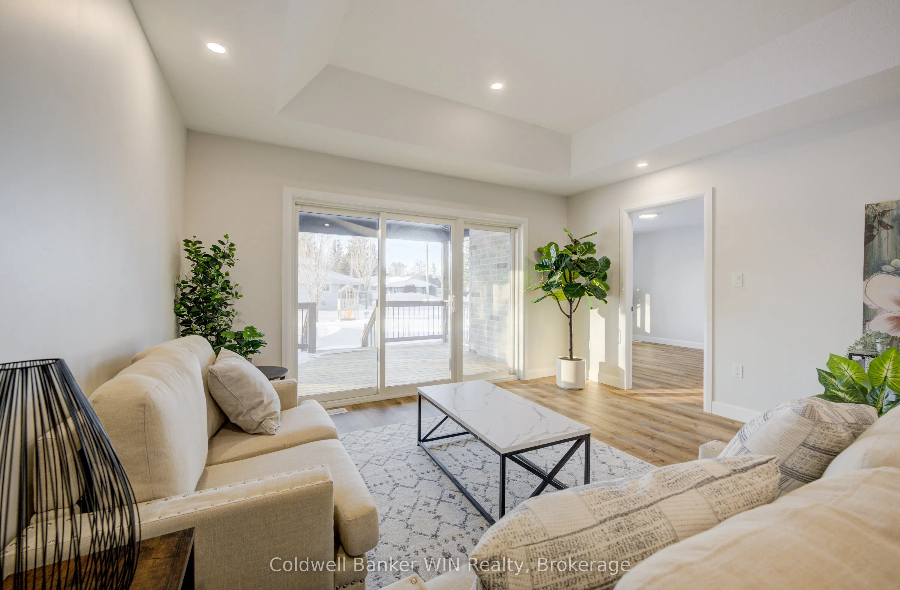 217 ELGIN Street