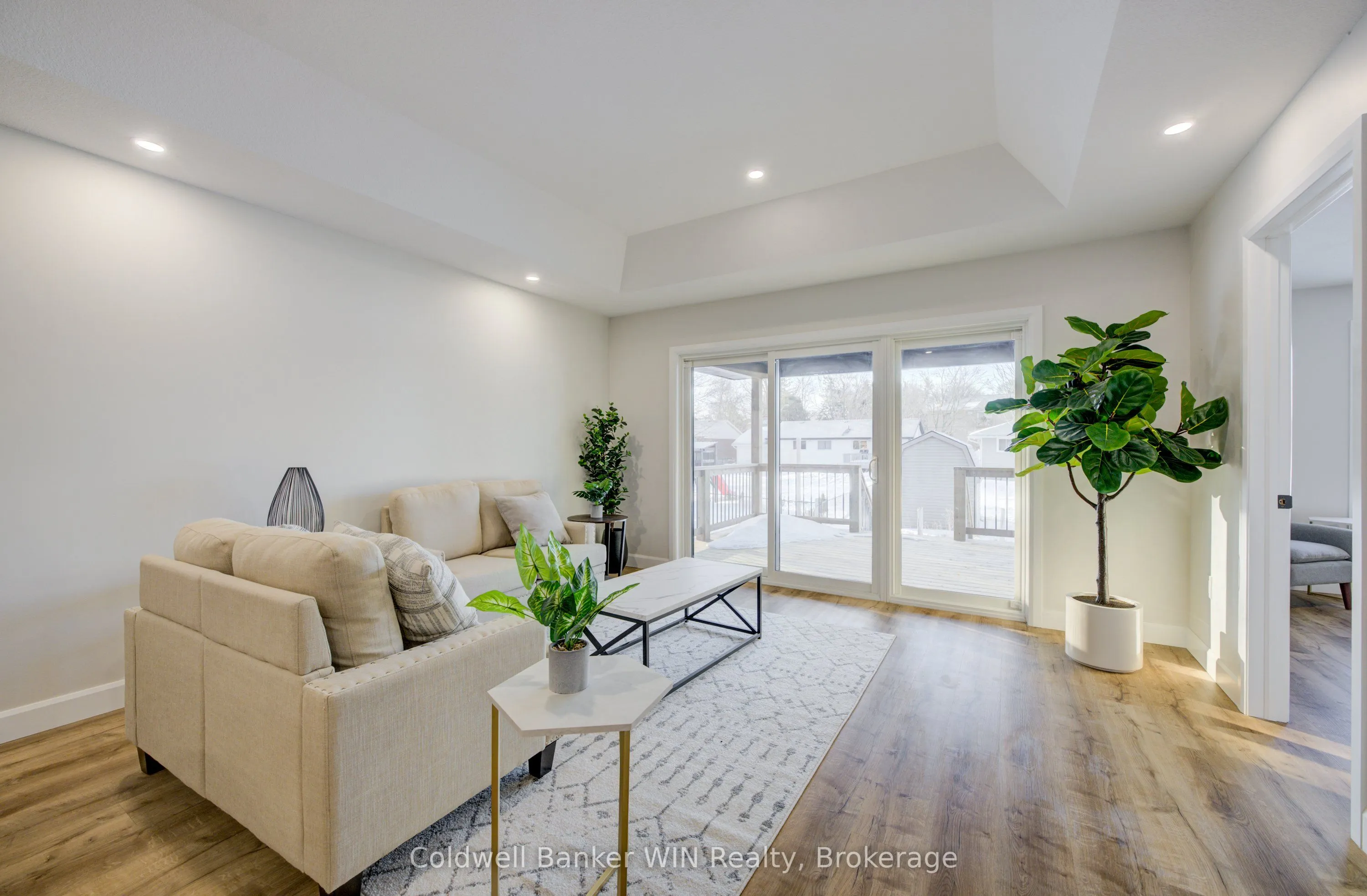 217 ELGIN Street