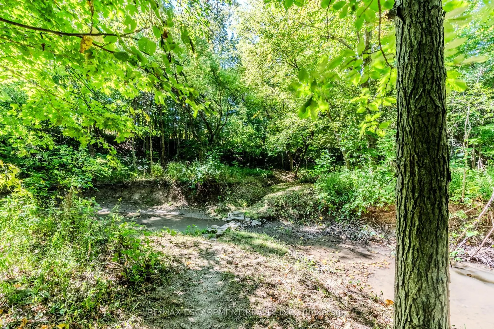 4165 Kirk Road